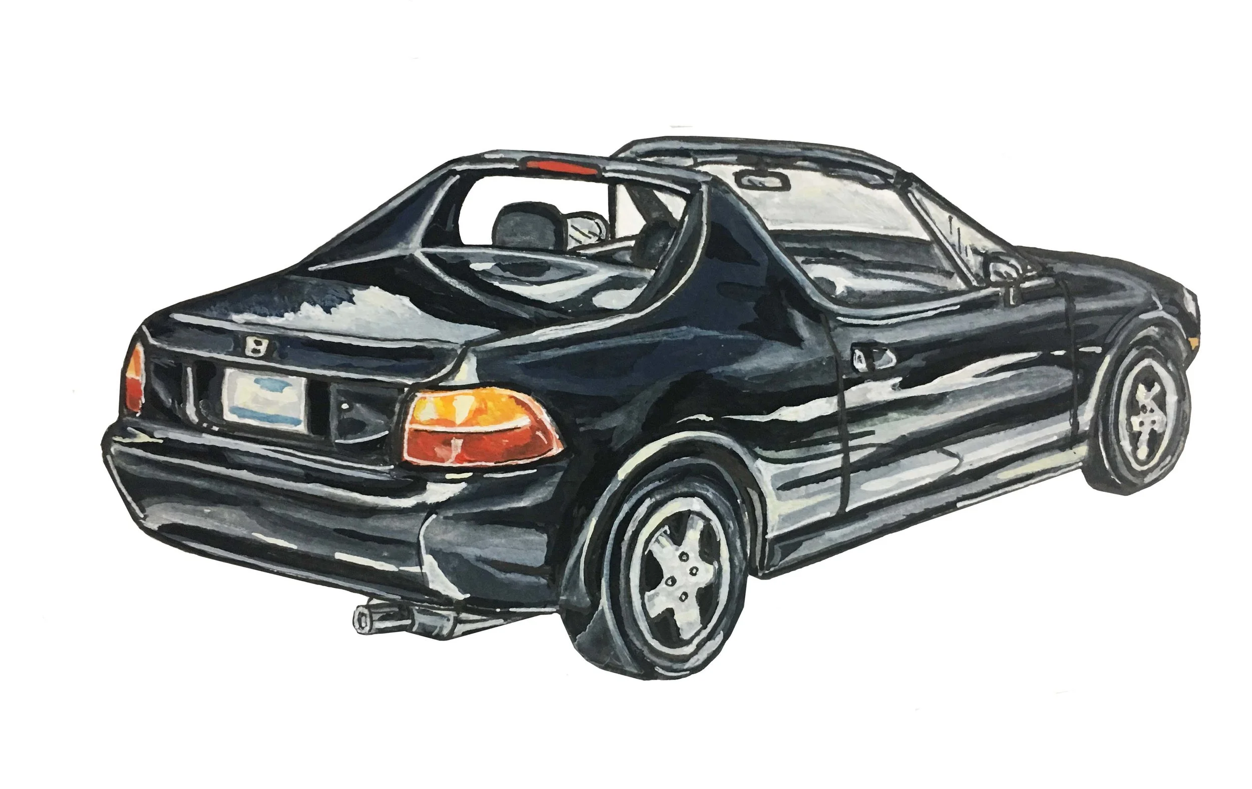 delsol_final.jpg