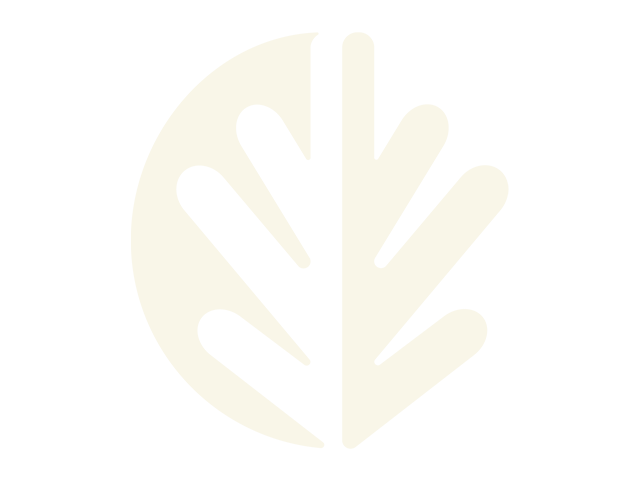 TFFF-Leaf.png