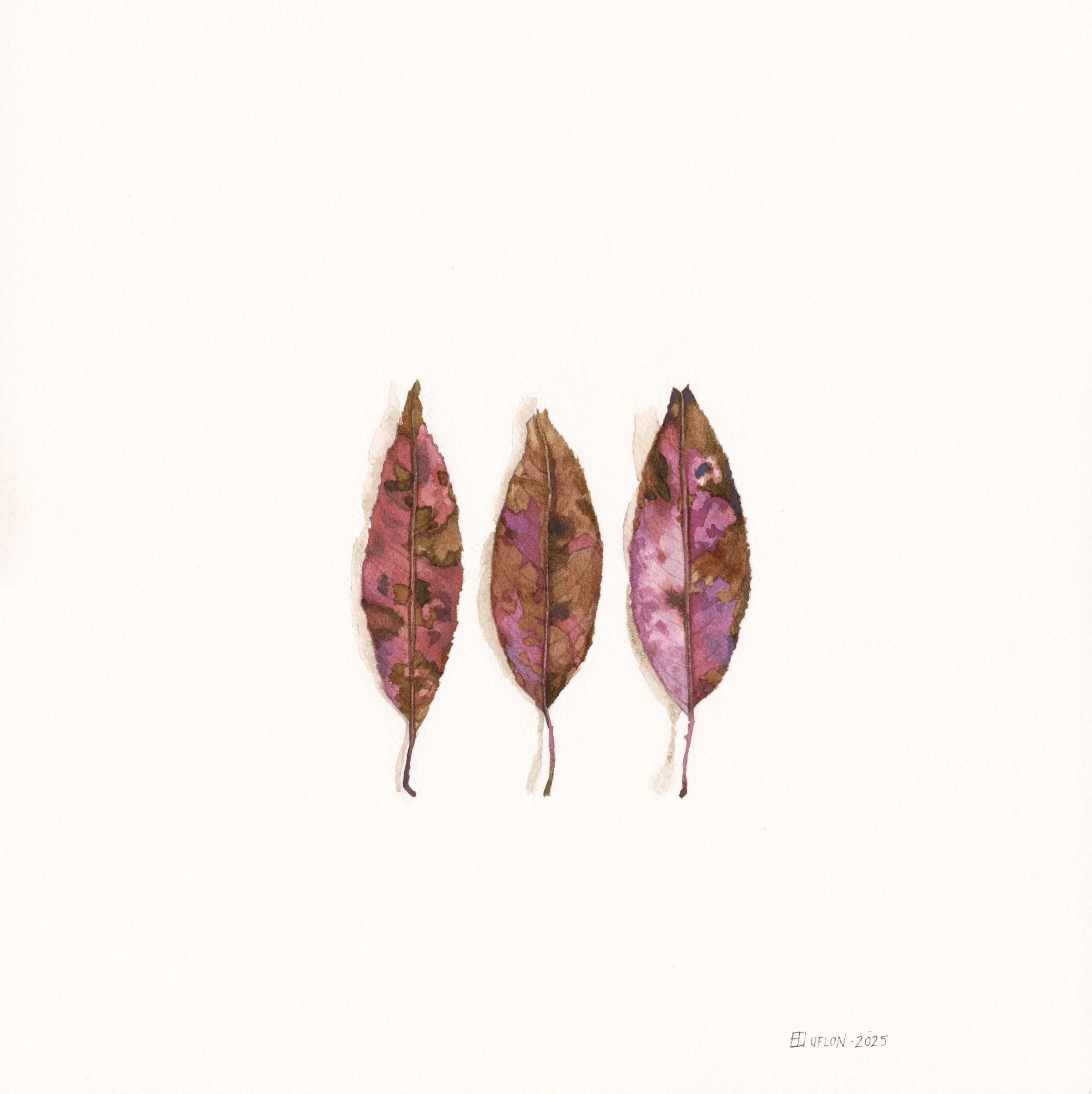 Three Pink Leaves