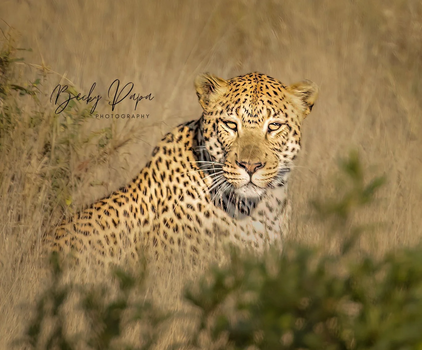  Kruger National Park, July 2022 