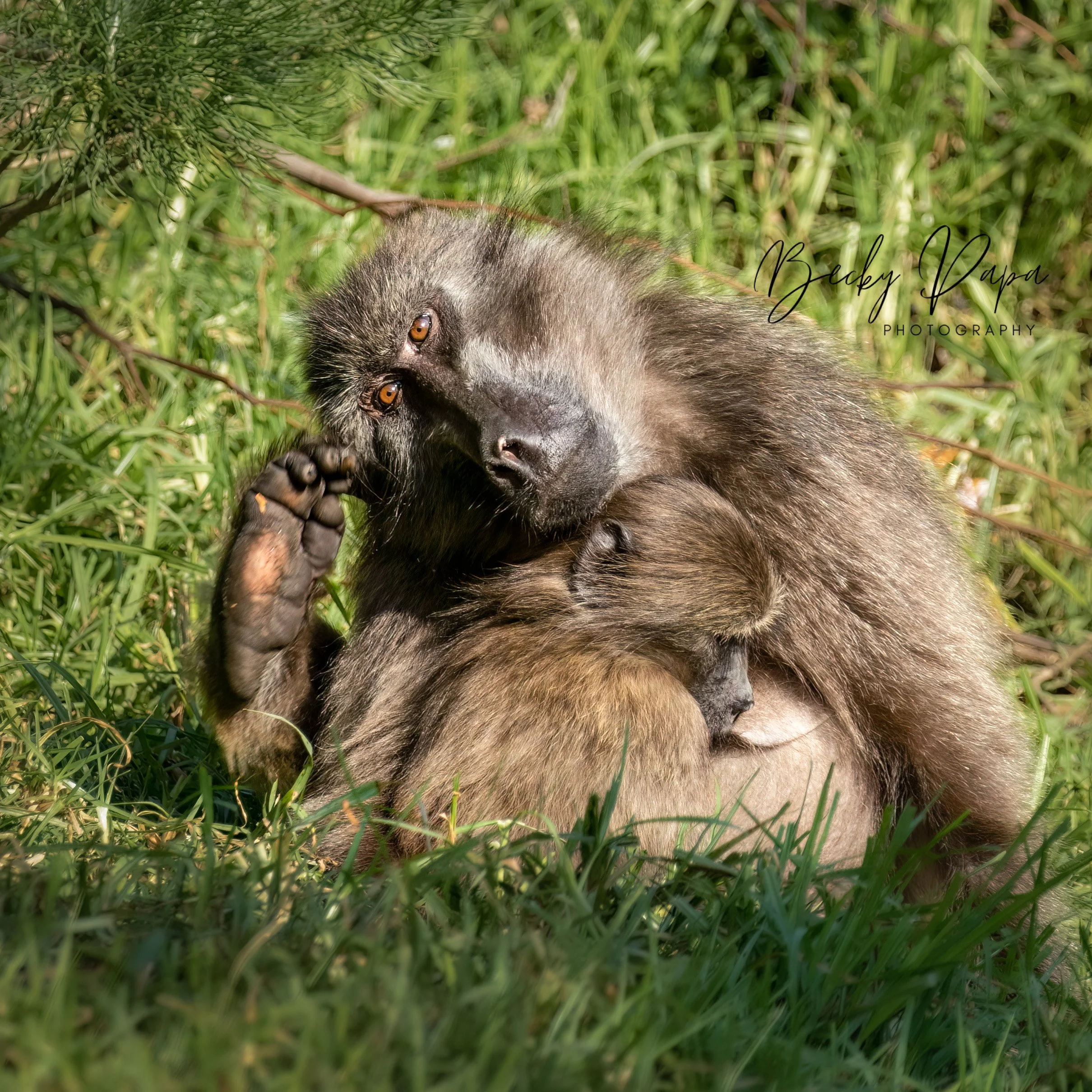  Cape Town S.A, August 2022 