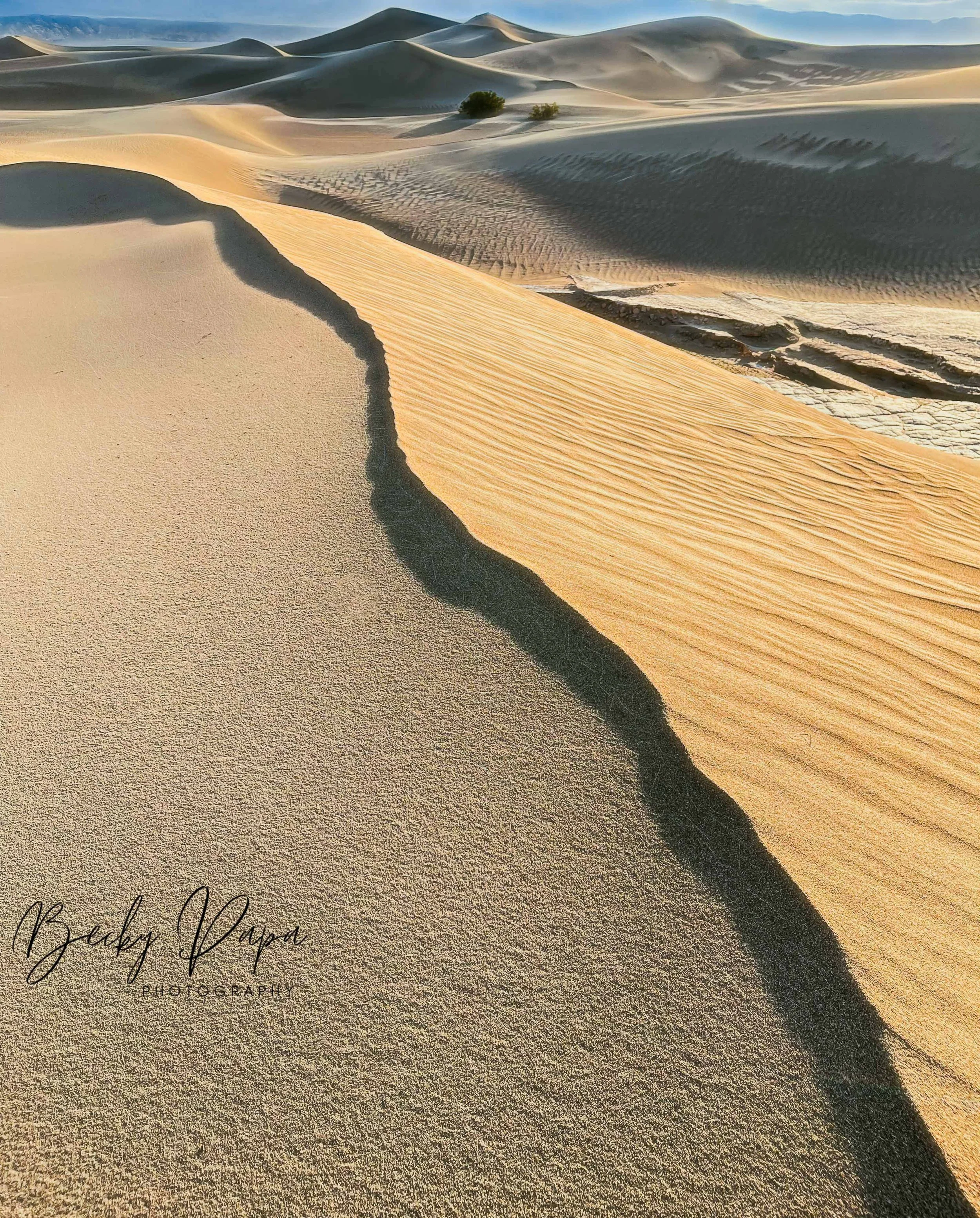  Death Valley, March 2023 