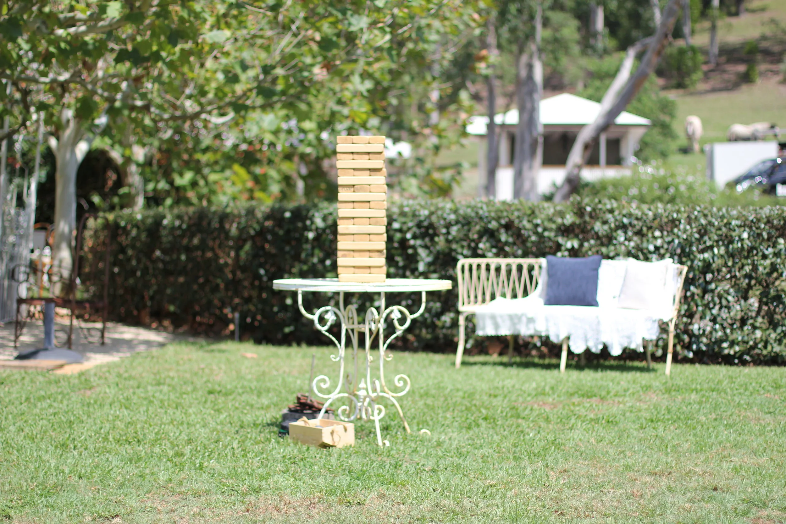 Lawn Games set out near our Lake