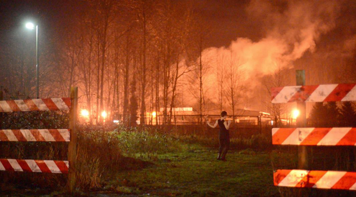 Screenshot courtesy of footage by Lisa Malloy.