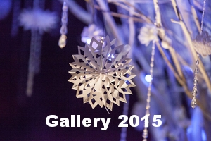 Gallery 2015