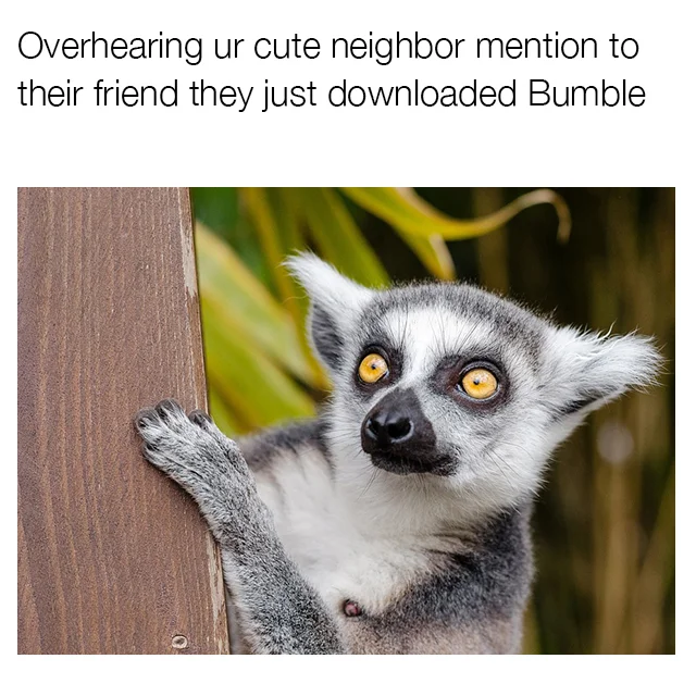 Bumble_4.jpg