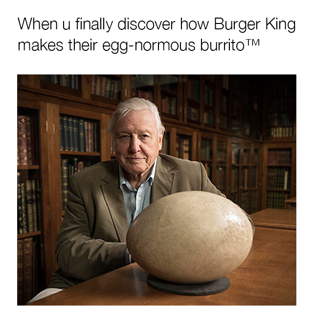 egg.png