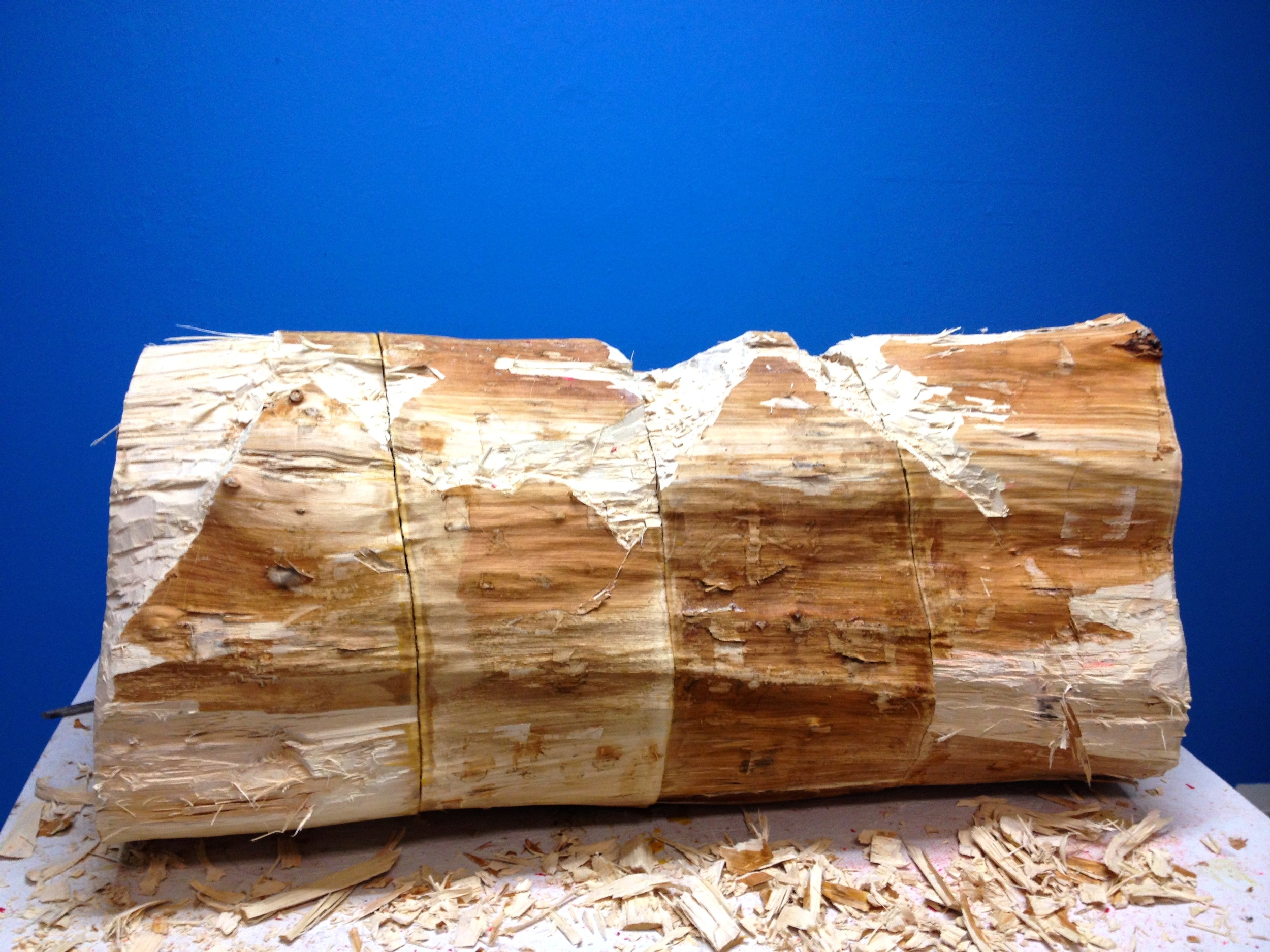 mid carve.jpg