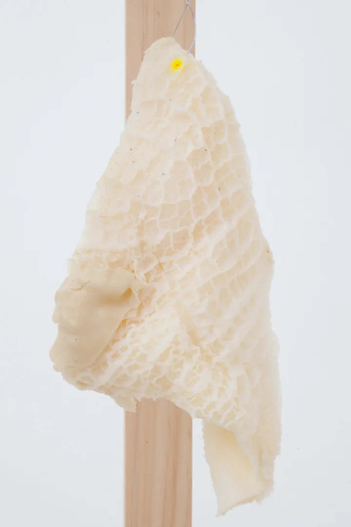 SOFT-SERVE-INSTALL-WEB-1.jpg