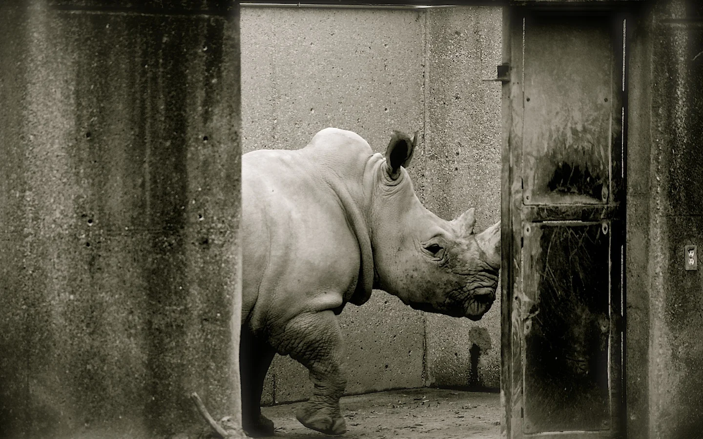 Louisville Zoo