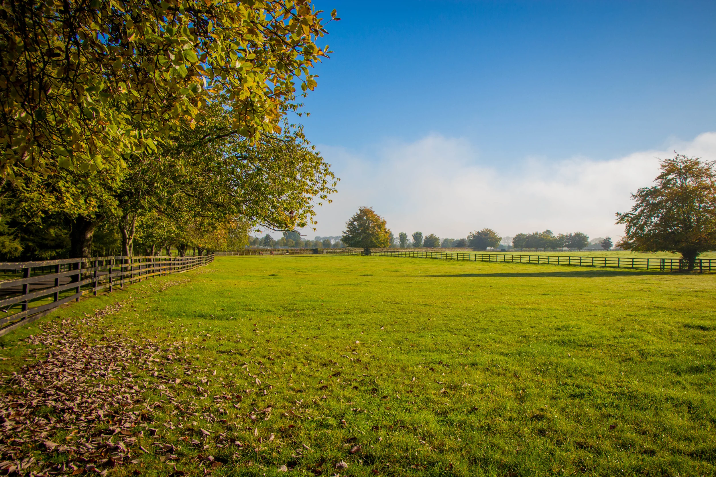 Irish National Stud; Tully, Kildare