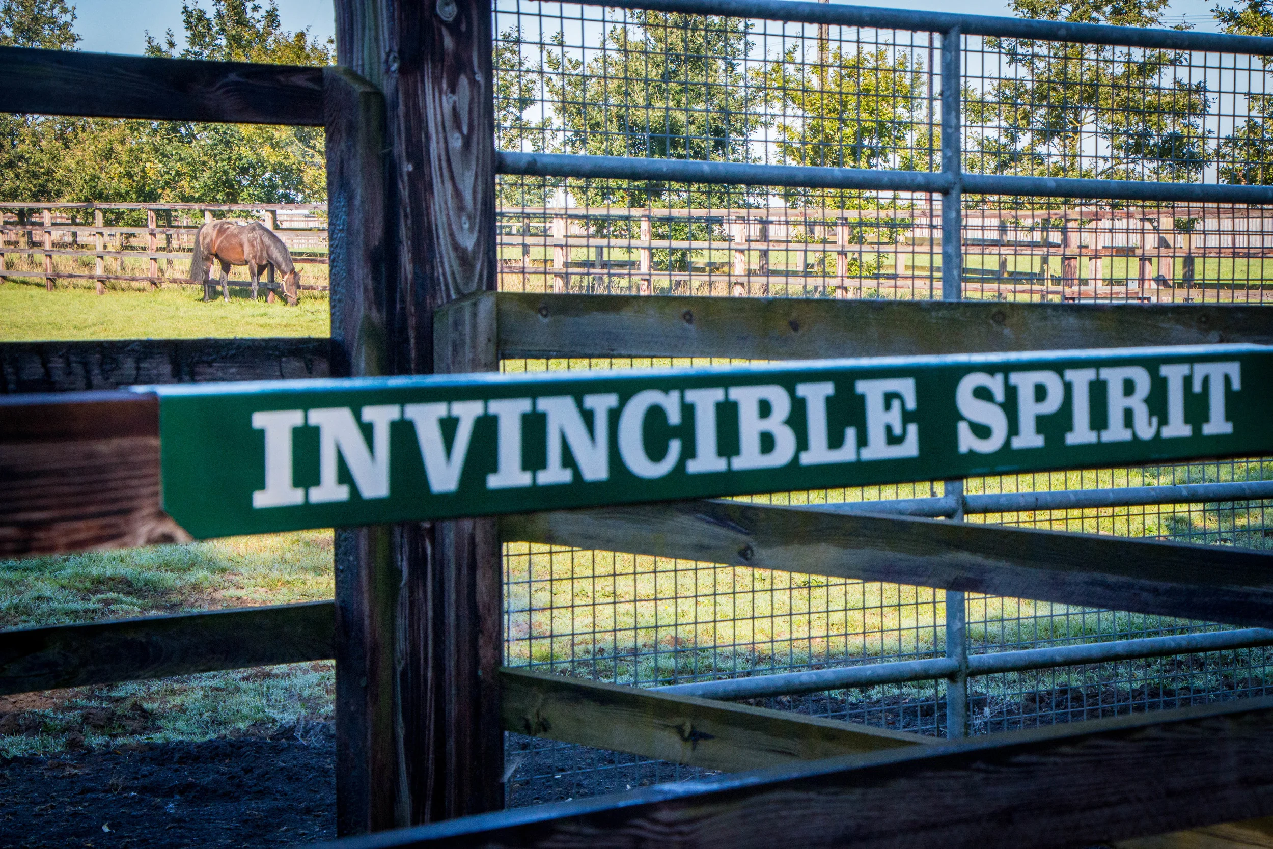Irish National Stud; Tully, Kildare