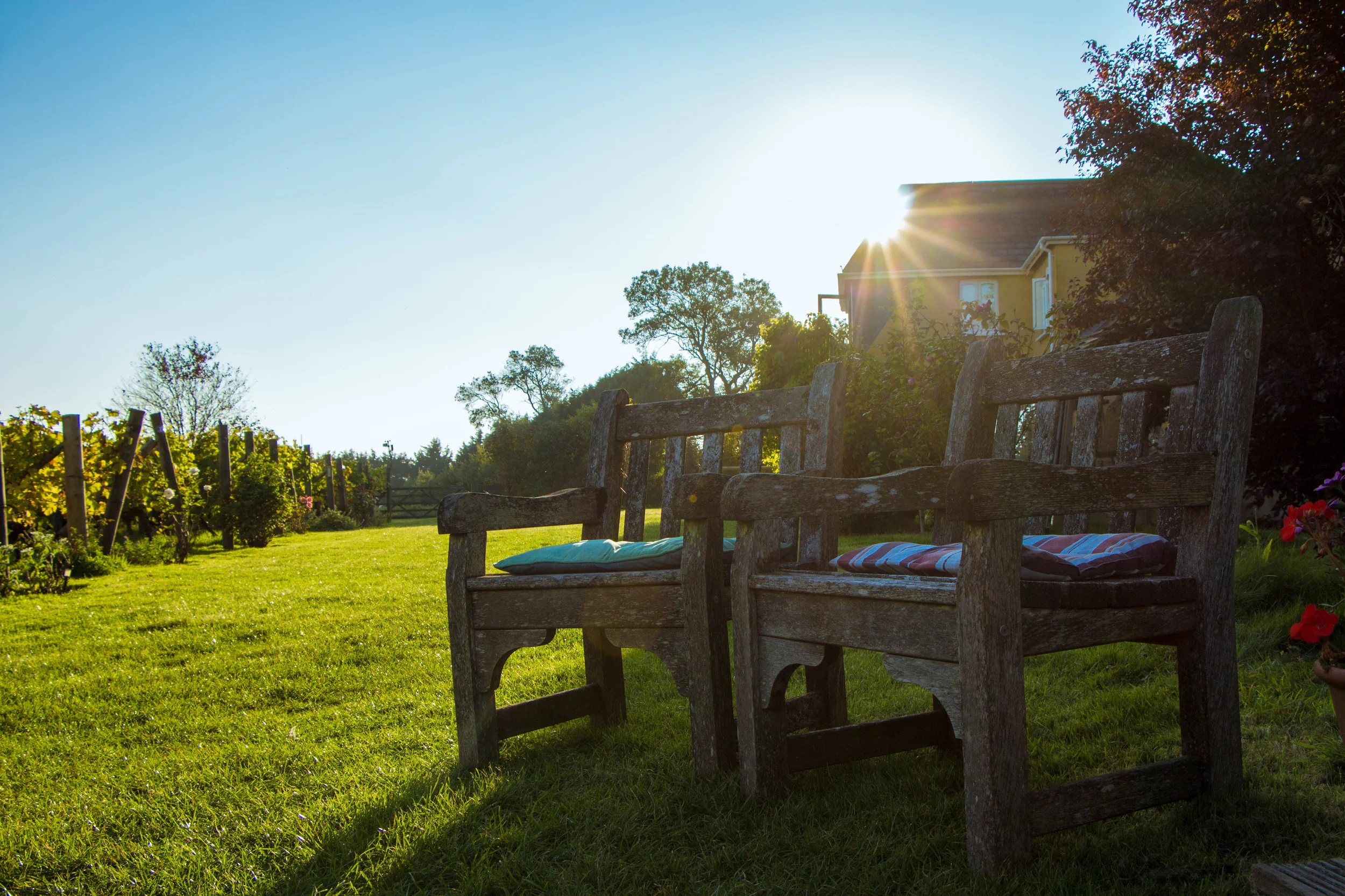 Glyndwr Vineyard