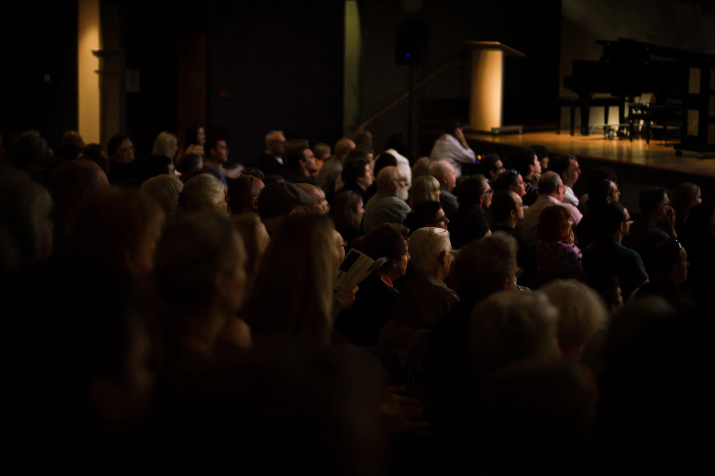Connor_D'Netto_Photography-BPO-1.jpg