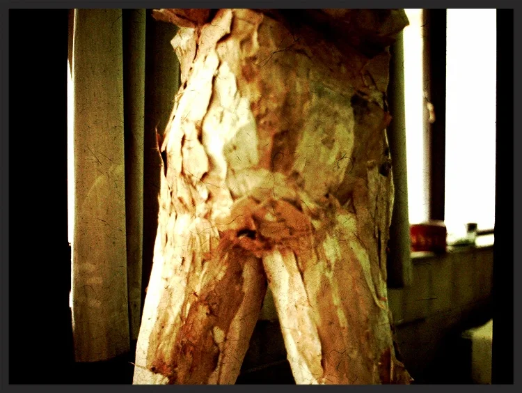 Self portrait in paper bark and chicken wire