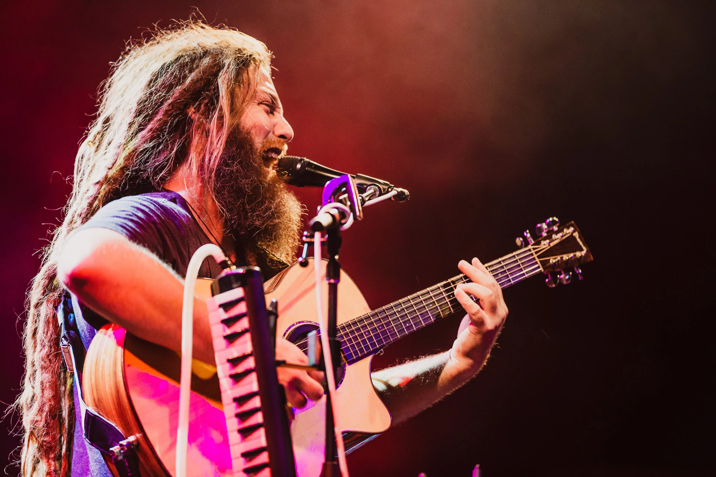 Photo by Mollie Hull