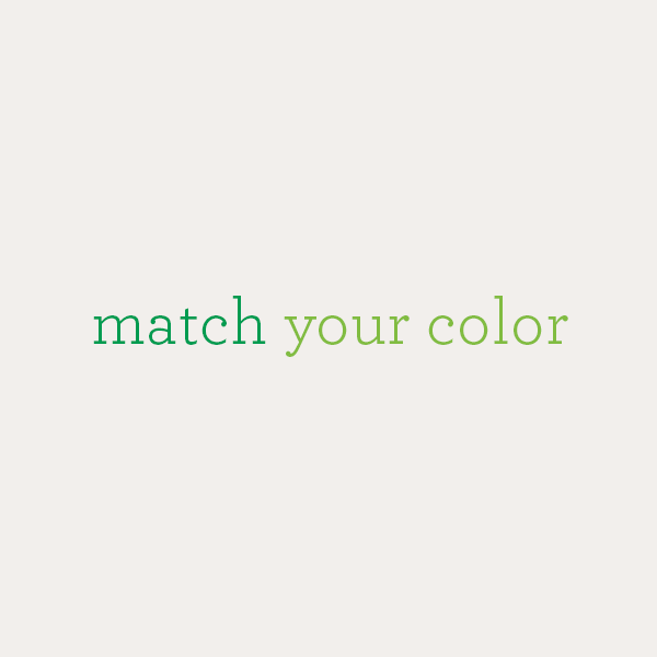 10_ColorMatch.png