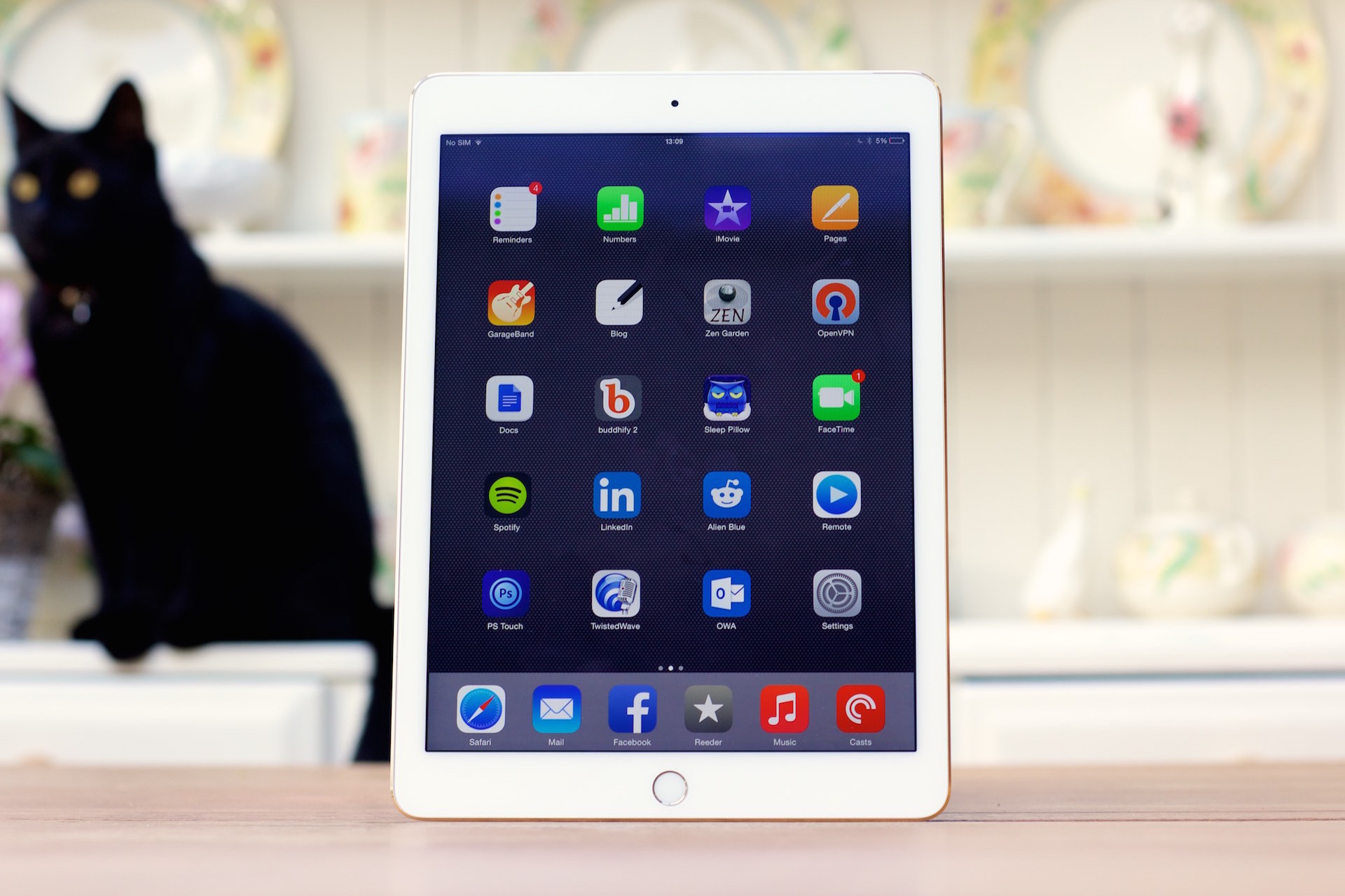apple-ipad-air-2-review 2.jpg