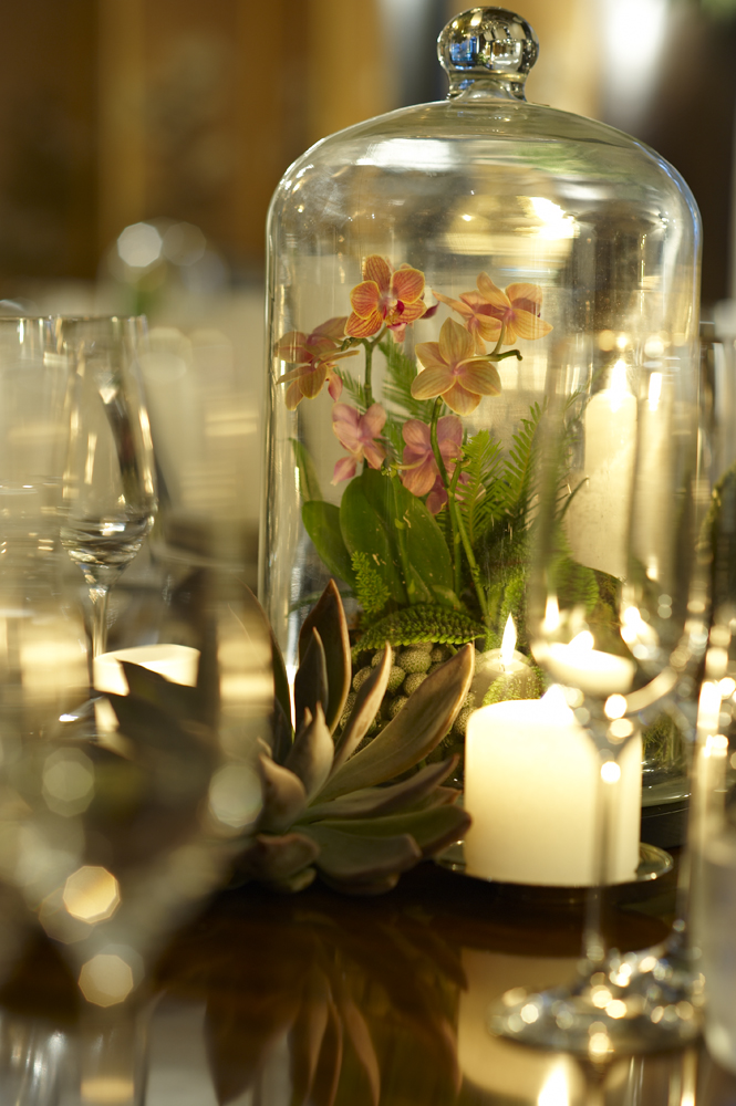 Belle reader dinner at The Residence