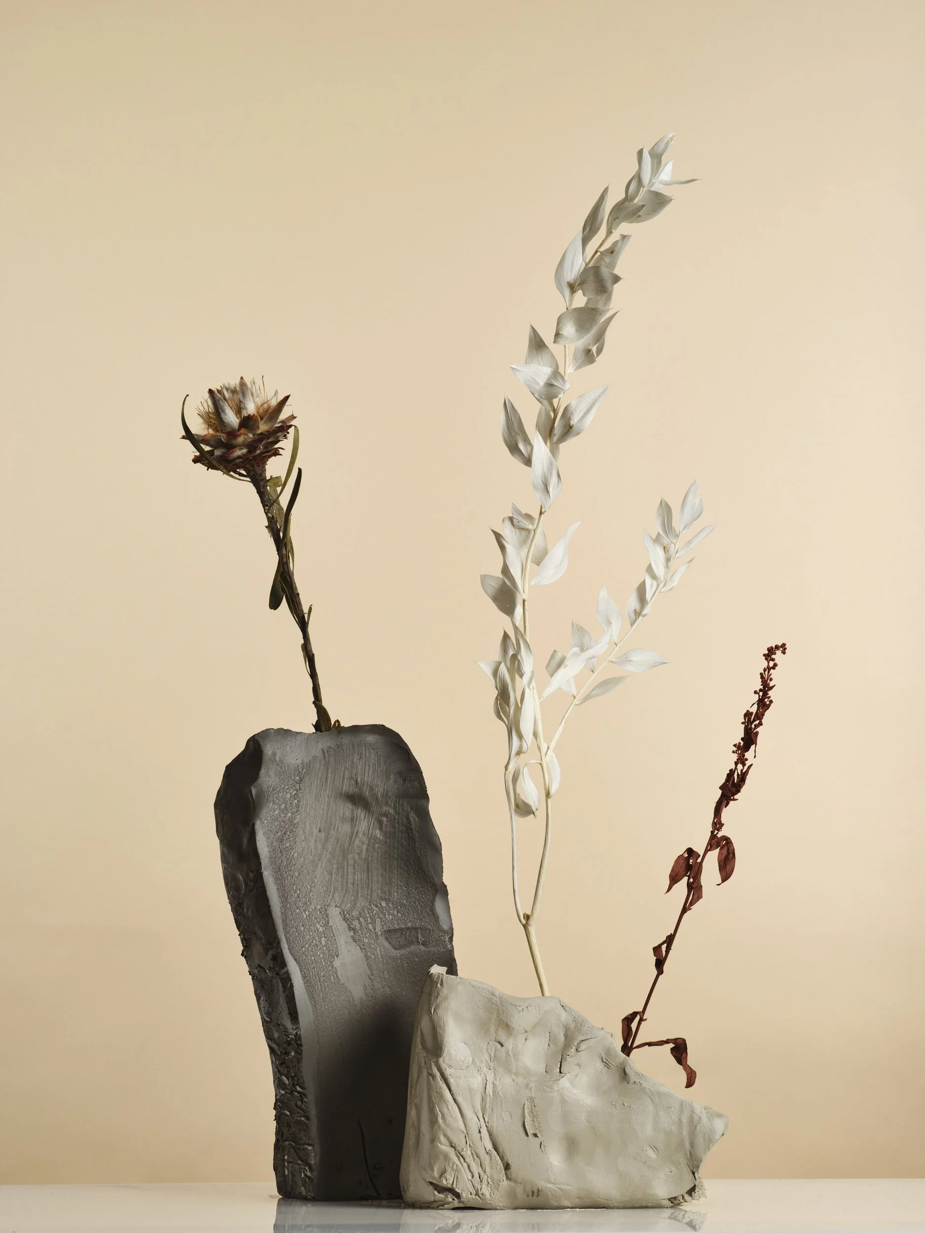 HERBARIUM-janv220005.jpg