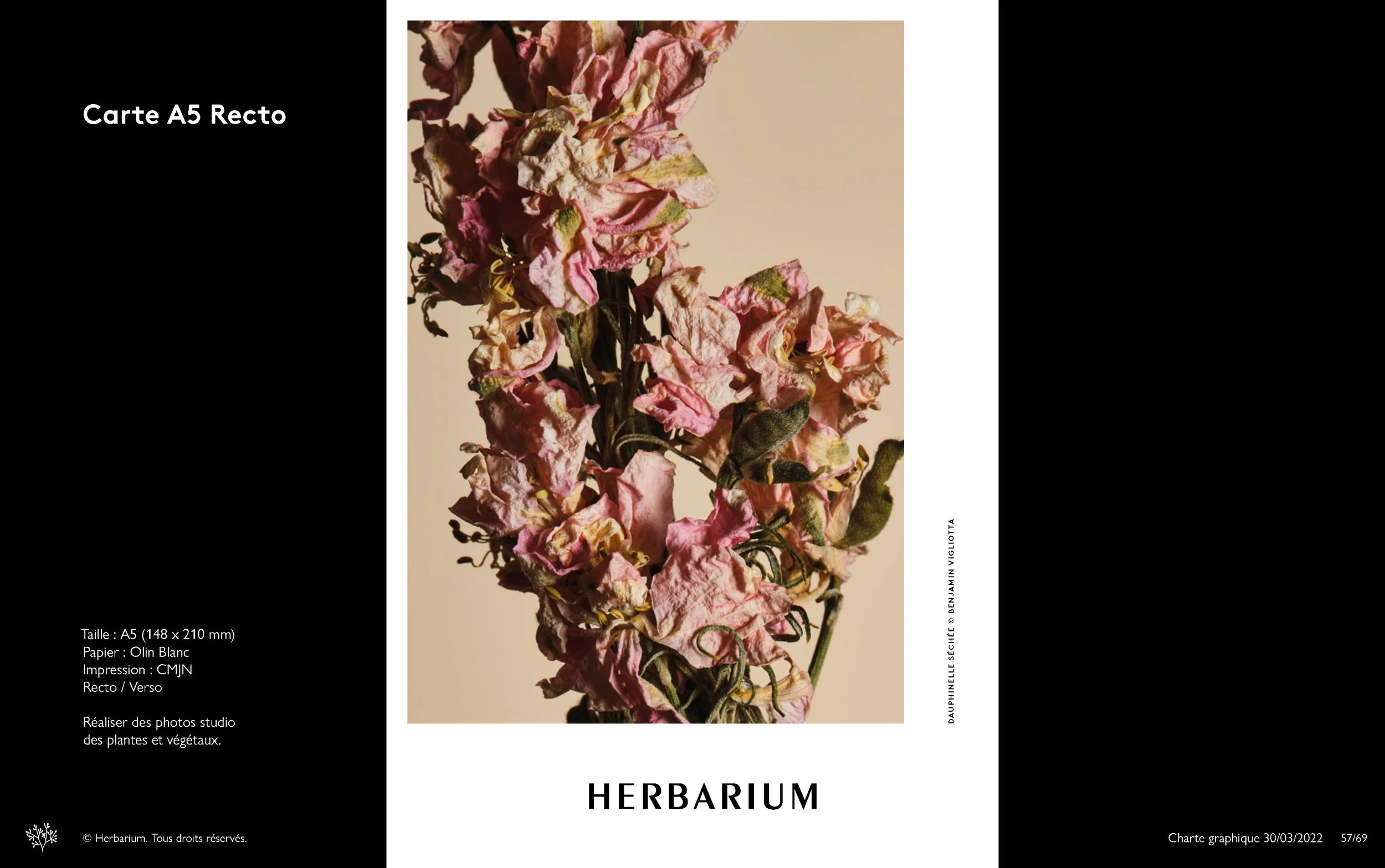 Herbarium – Charte graphique – 20220401_Page_56.jpg