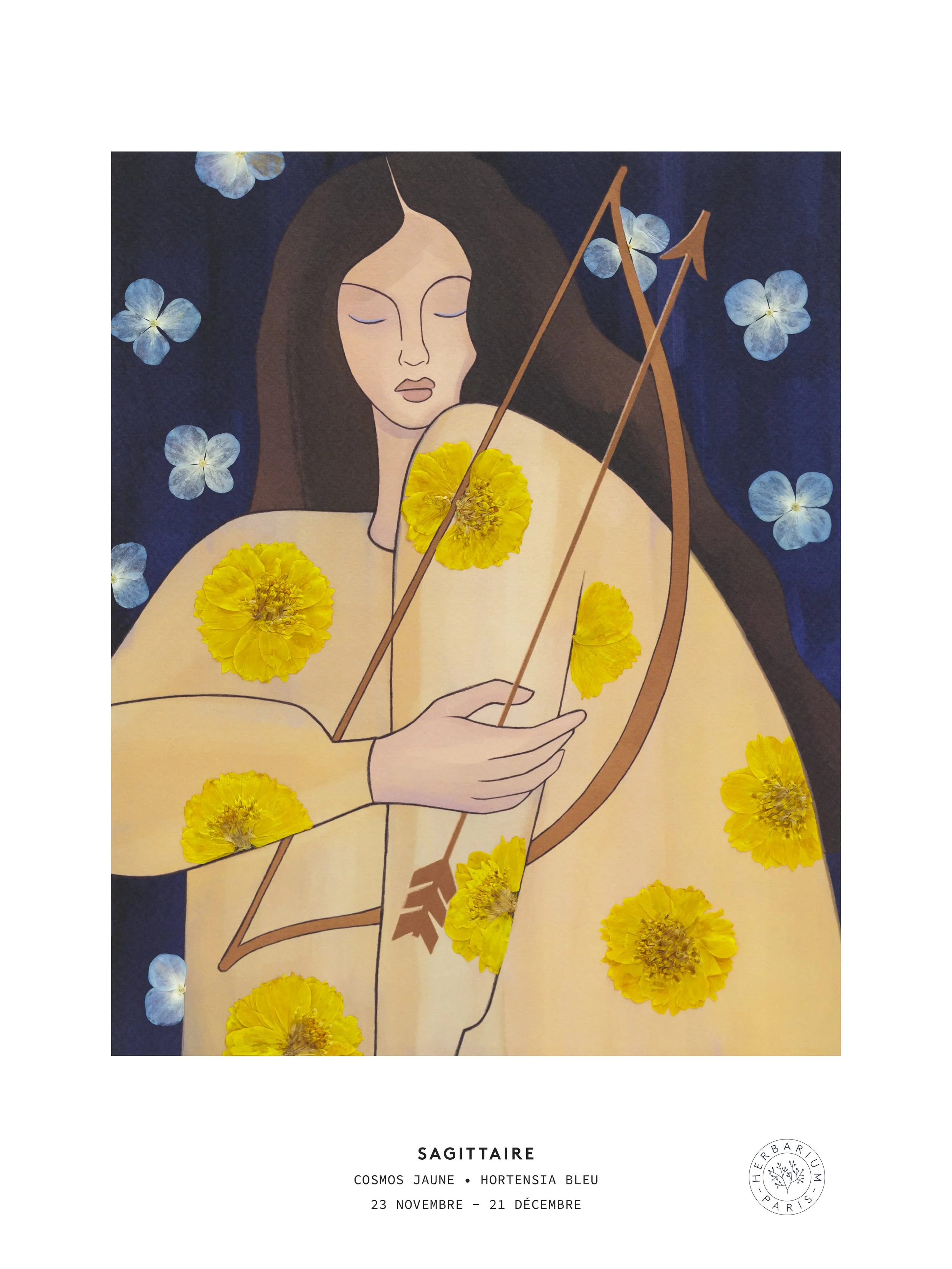 Herbier Sagittaire.jpg