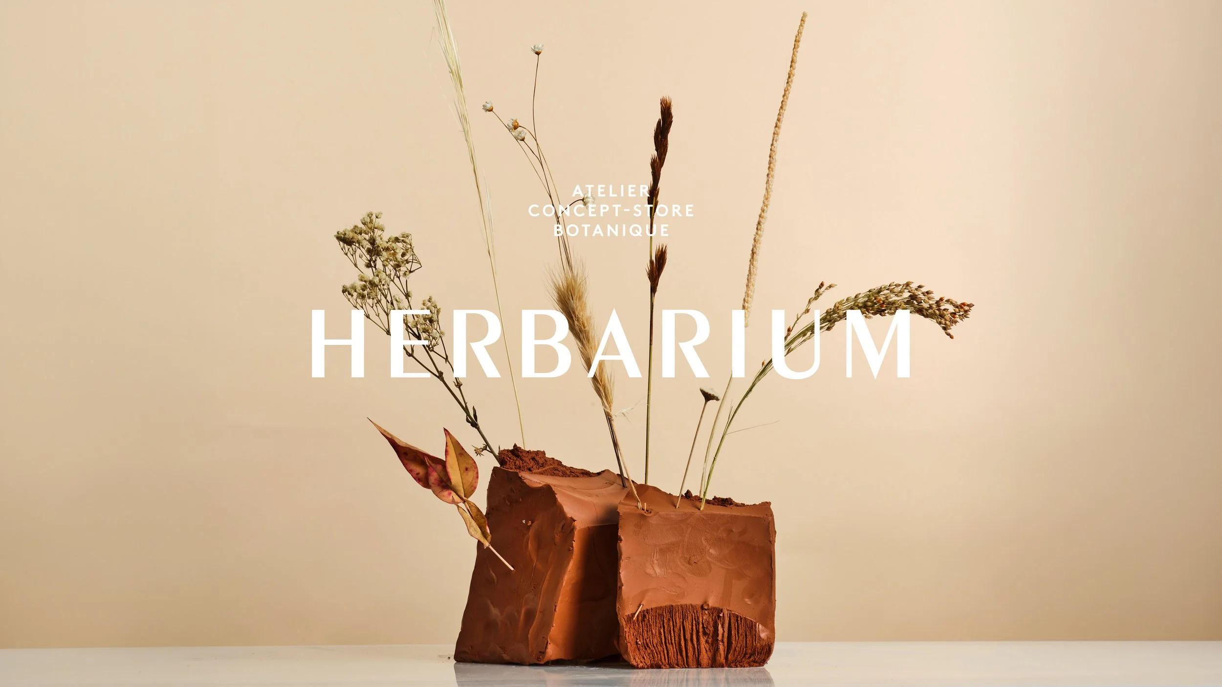 Herbarium Concept Store | A botanical chapter in Le Marais