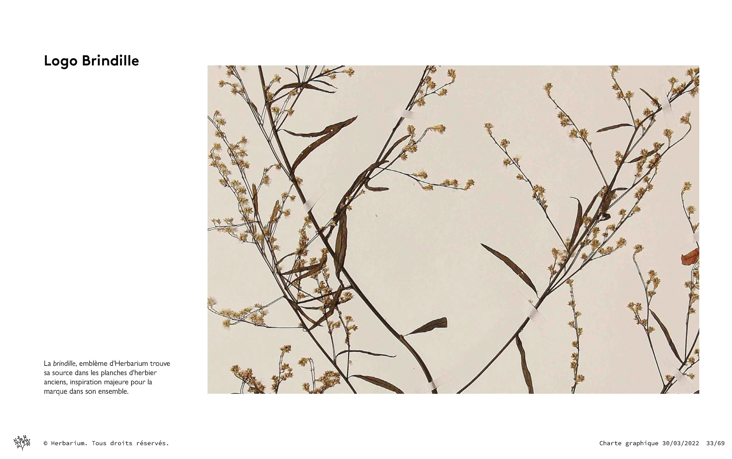 Herbarium – Charte graphique – 20220401_Page_33.jpg