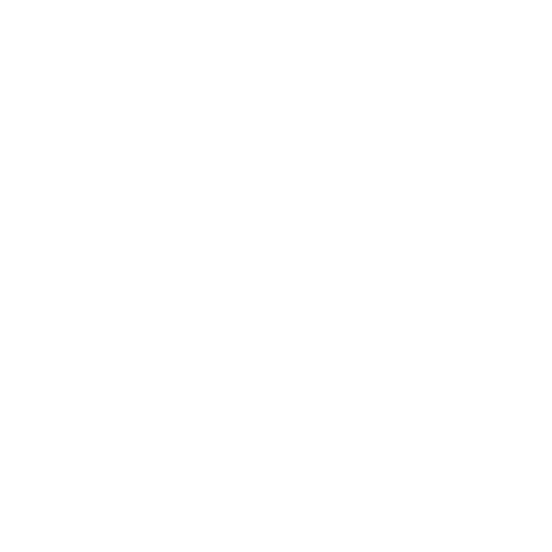 ゲーム情報 Super Cane Magic Zero