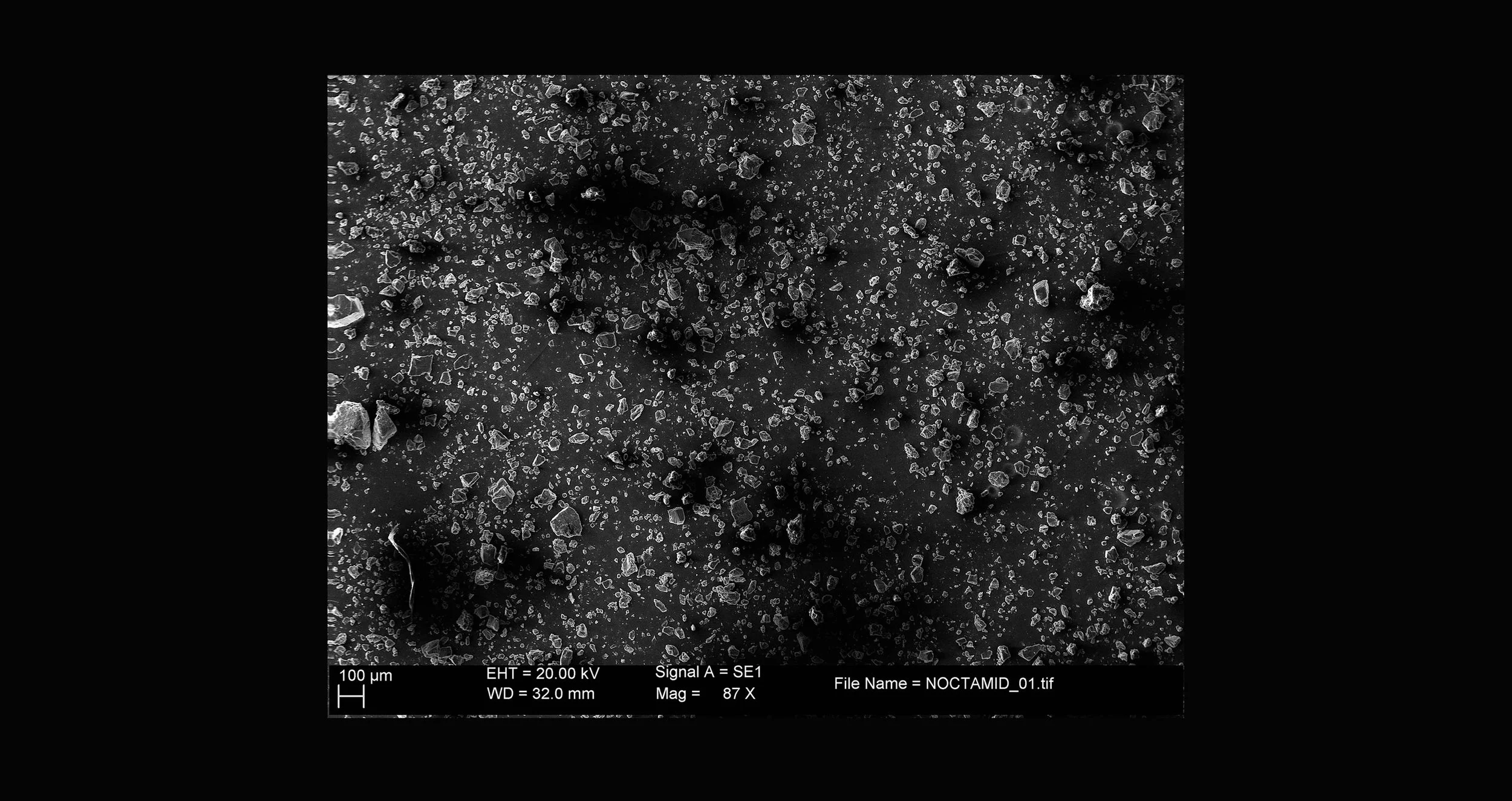 CuerpoBenzo-AVillaplana-E5-SEM.jpg