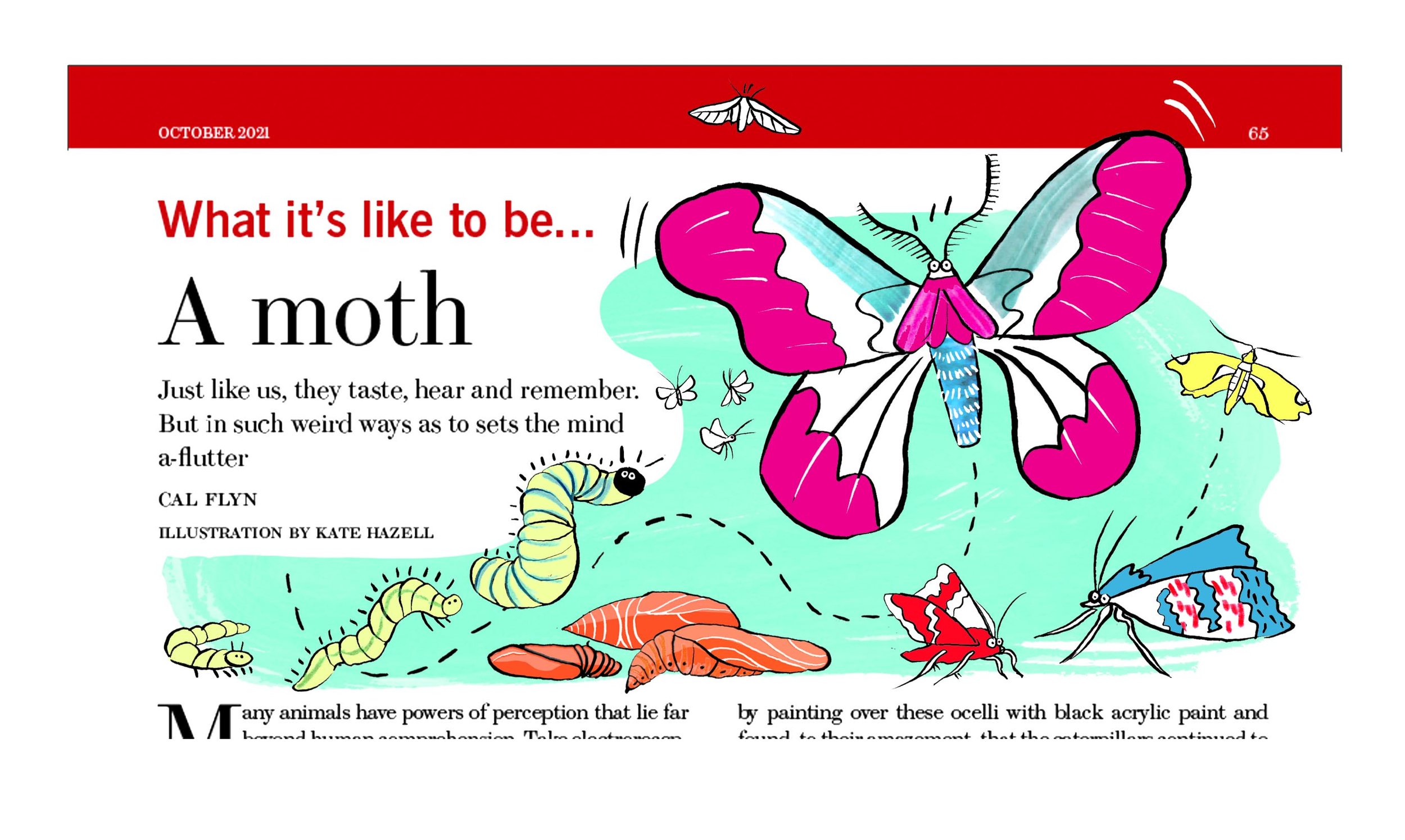 Prospect MOTHS Kate Hazell .jpg