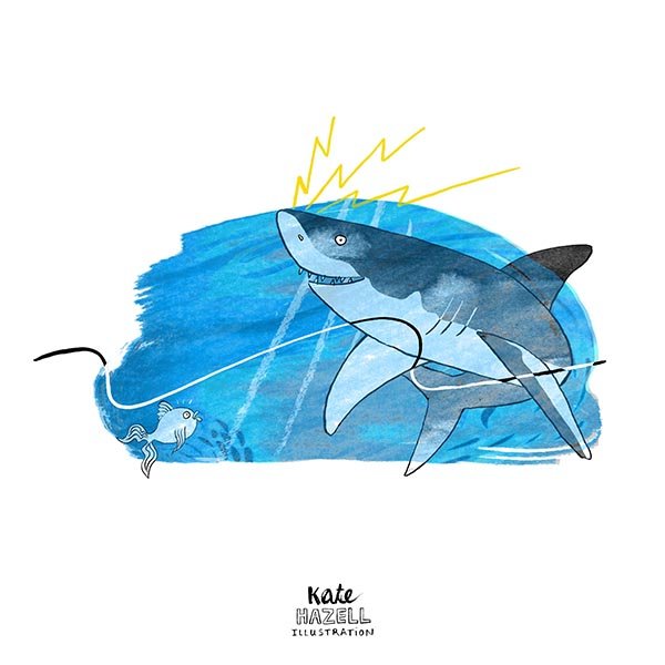 Shark illustration for Prospect magazine