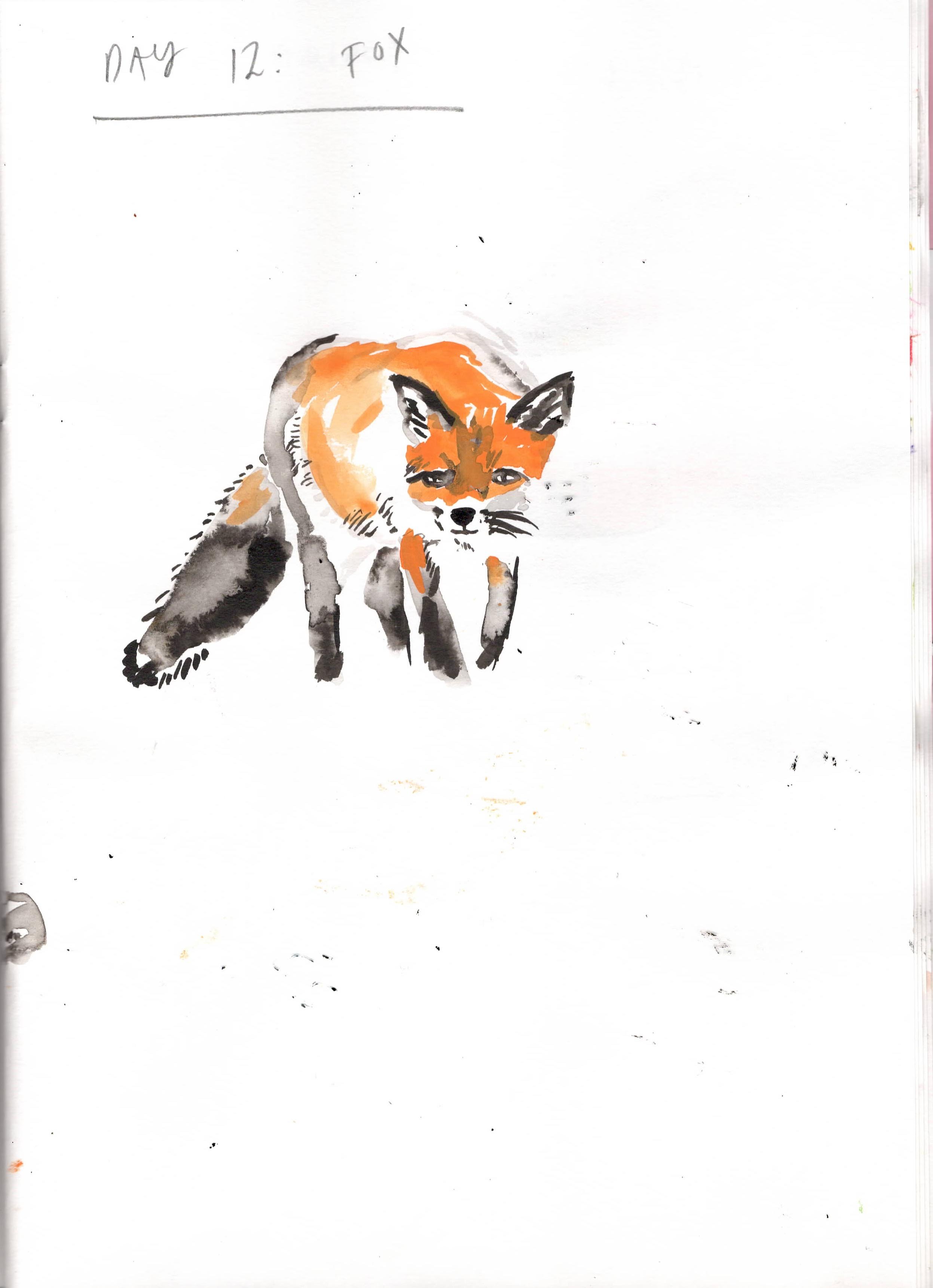 Fox watercolour sketch Kate Hazell.jpeg