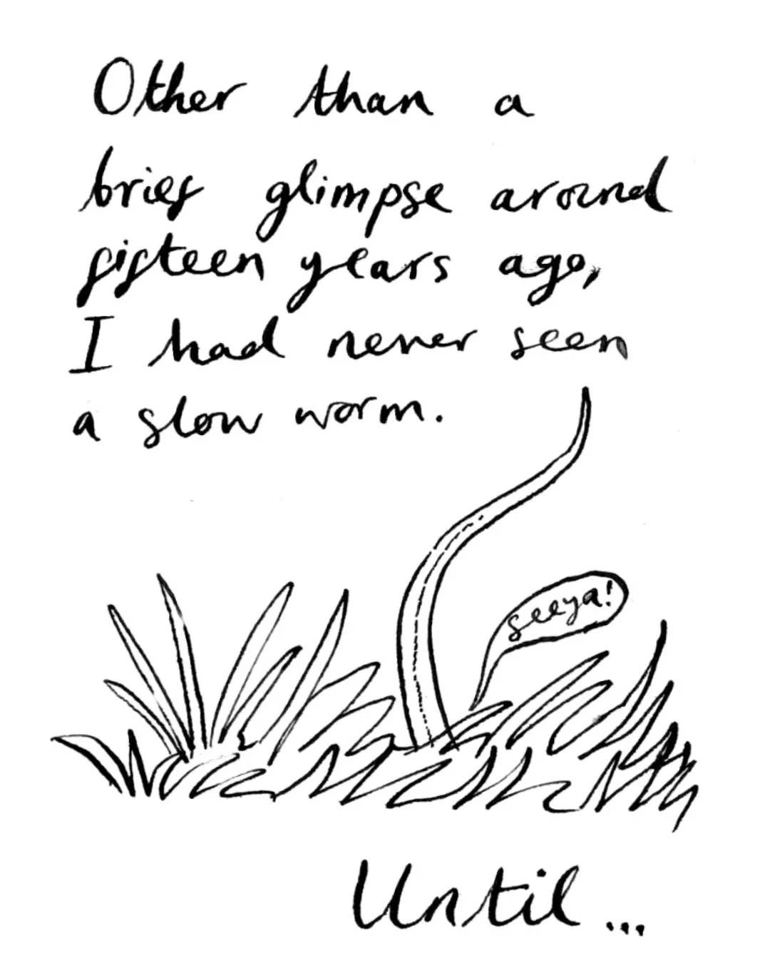 SLow Worms comic Kate Hazell insta2.jpg