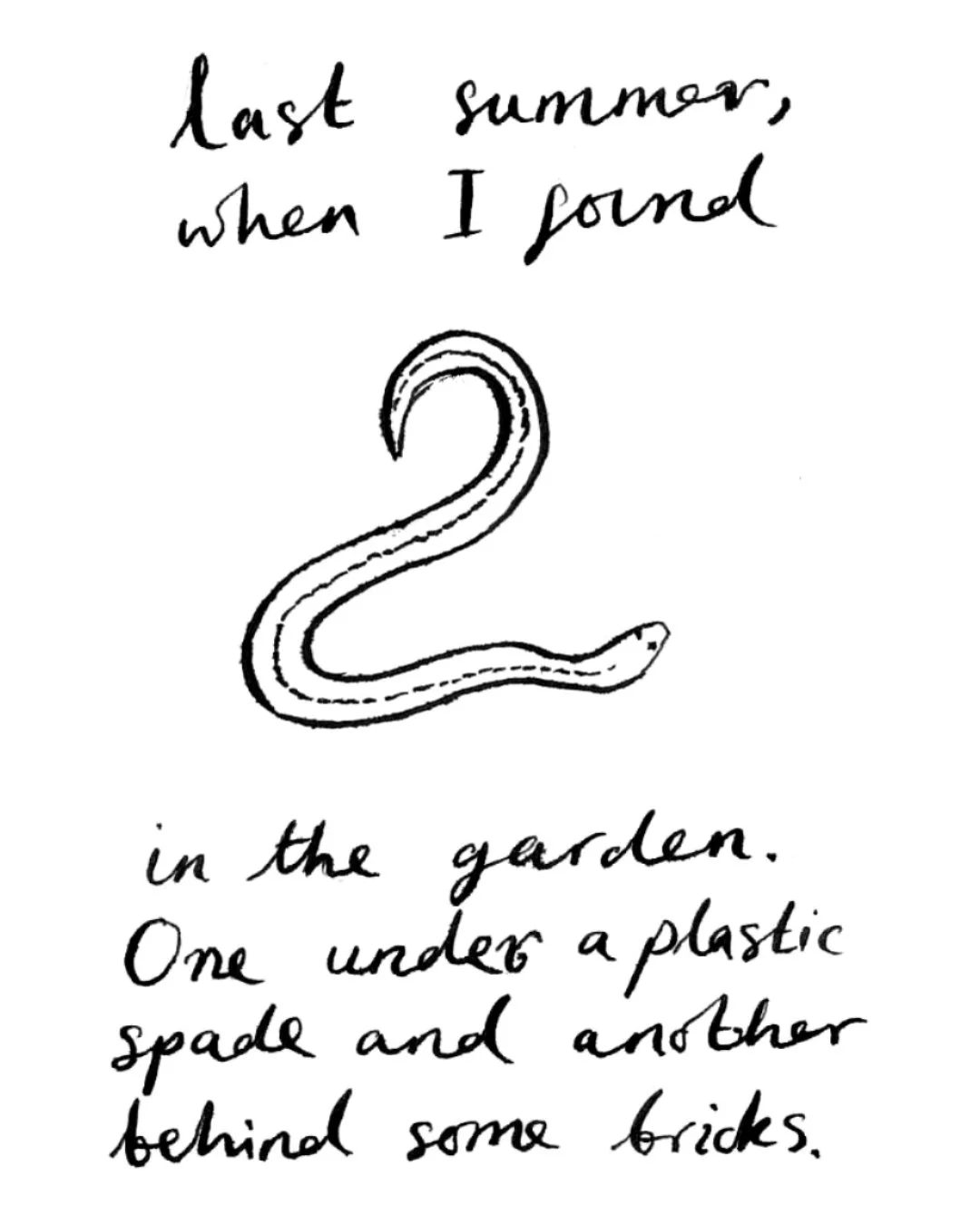 SLow Worms comic Kate Hazell insta3.jpg