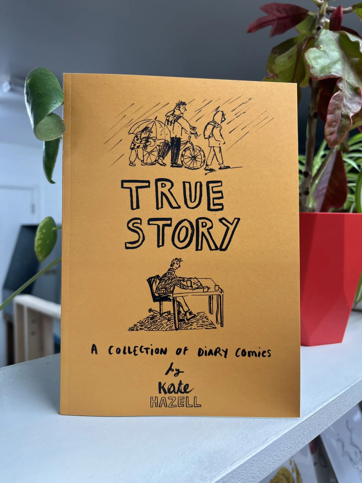 Kate Hazell True Story cover.jpg