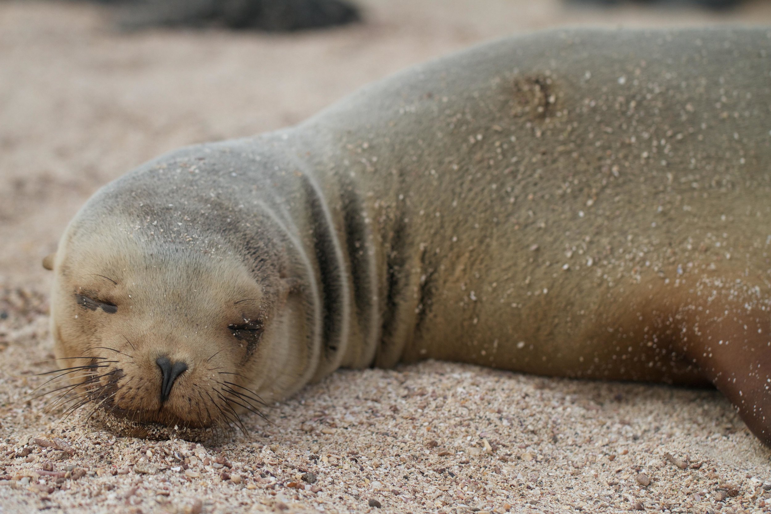 ECUADOR_2014 107.jpg