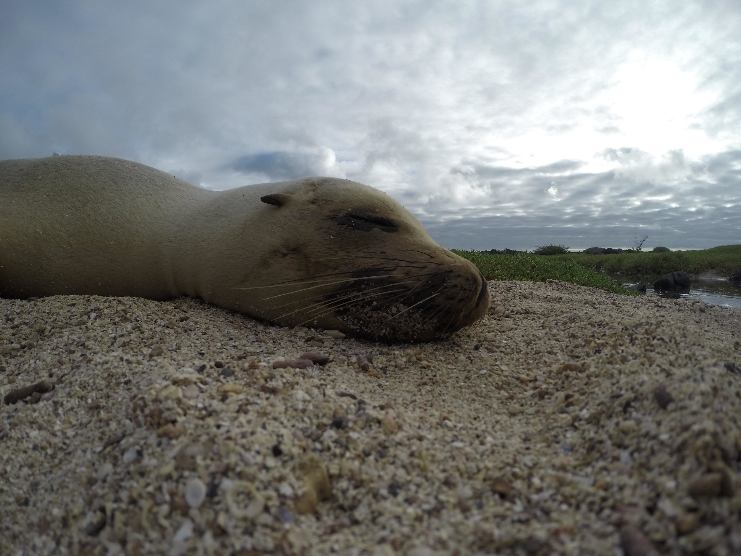 ECUADOR_2014_GP 86.jpg