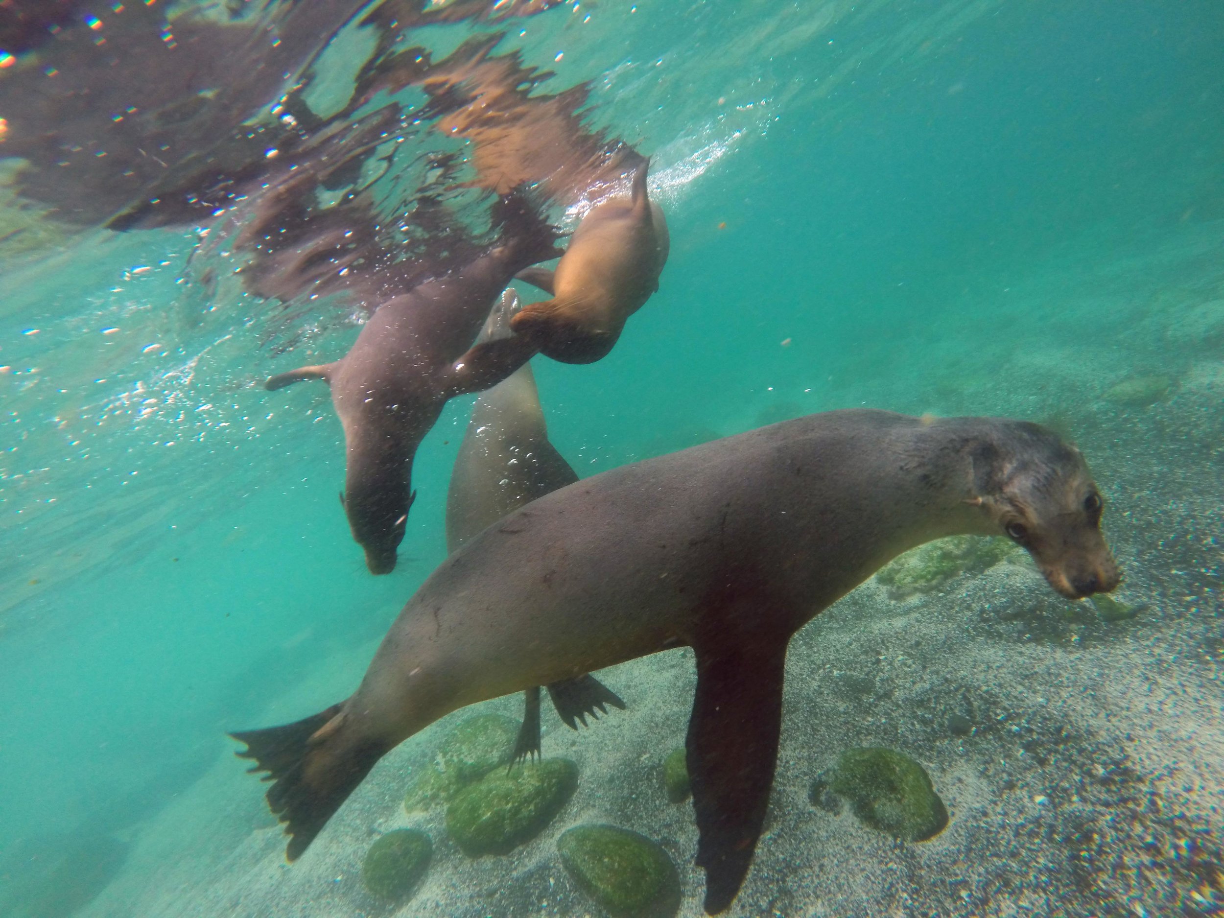 ECUADOR_2014_GP 90.jpg