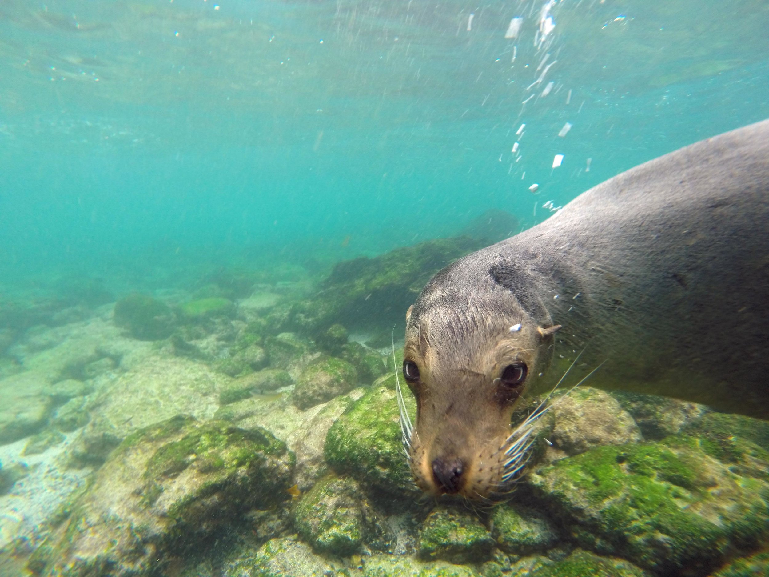 ECUADOR_2014_GP 94.jpg