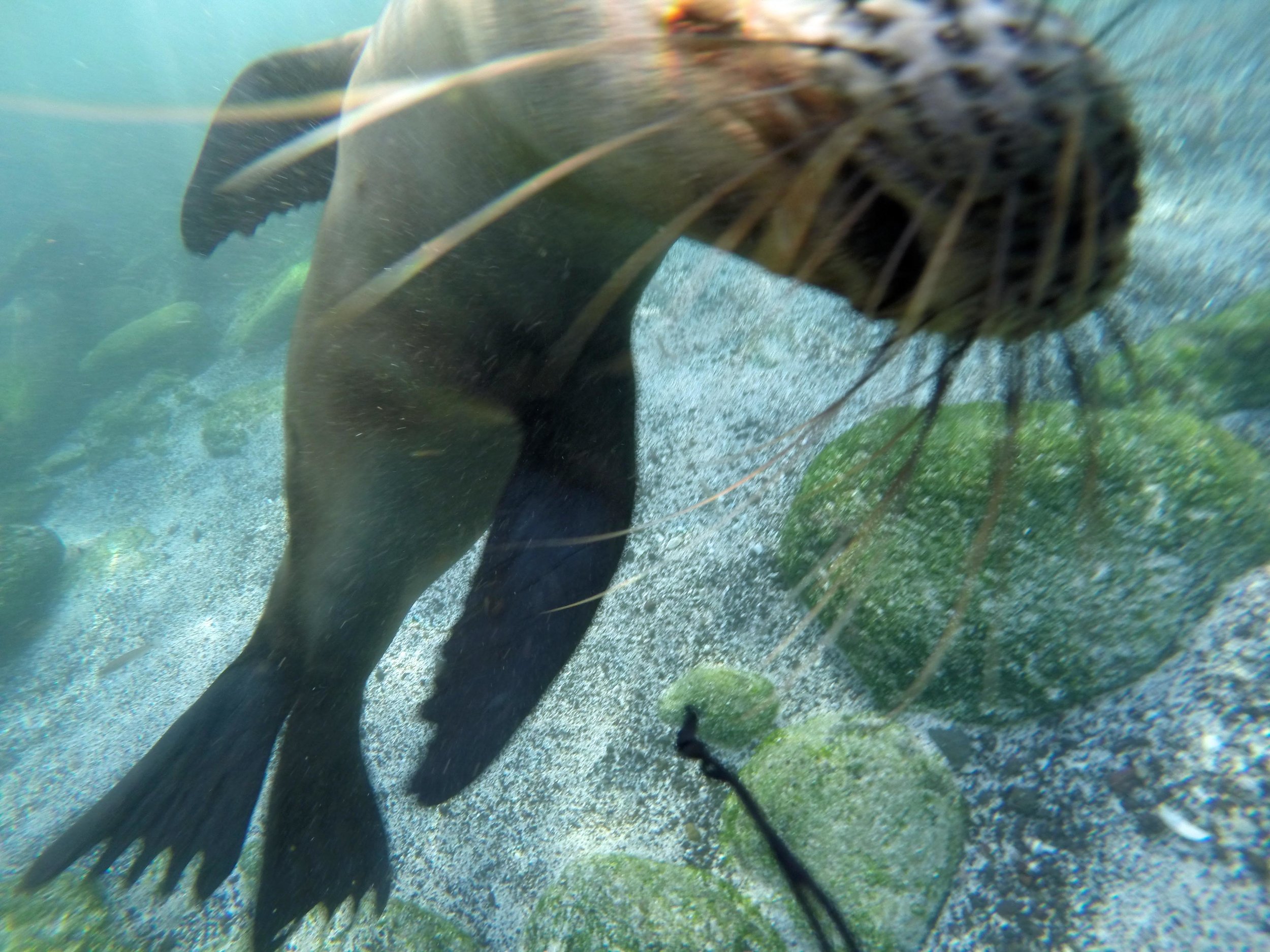ECUADOR_2014_GP 111.jpg