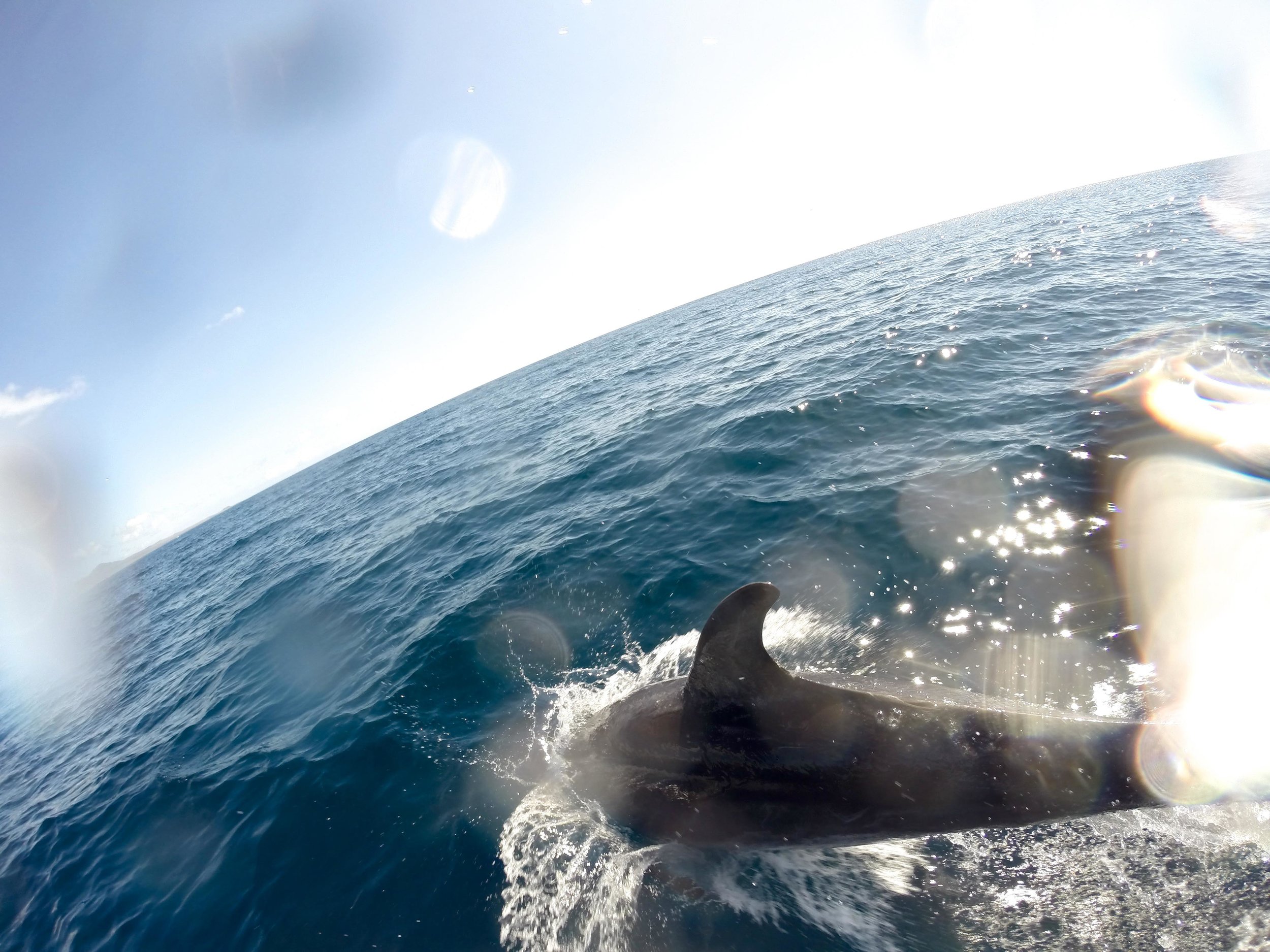 ECUADOR_2014_GP 162.jpg