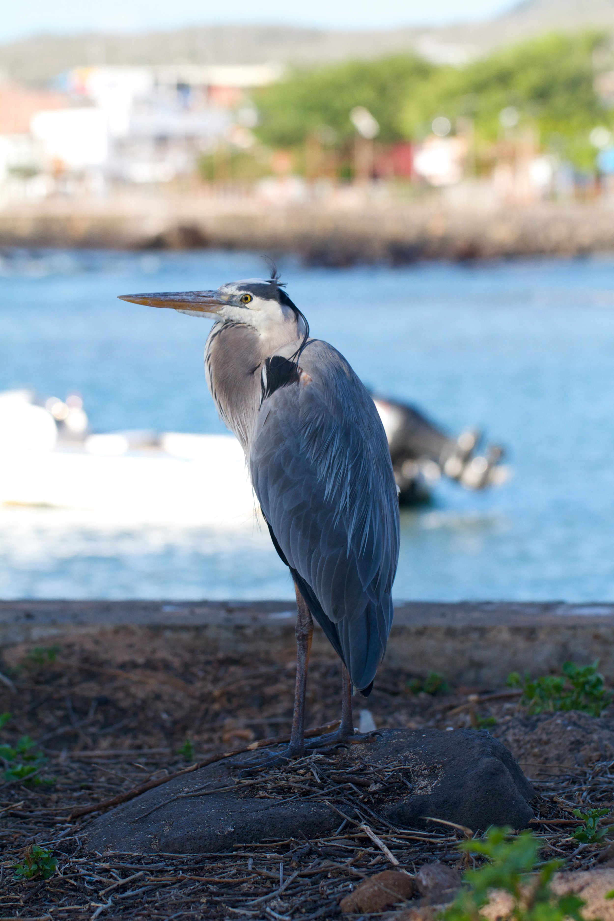 ECUADOR_2014 141.jpg