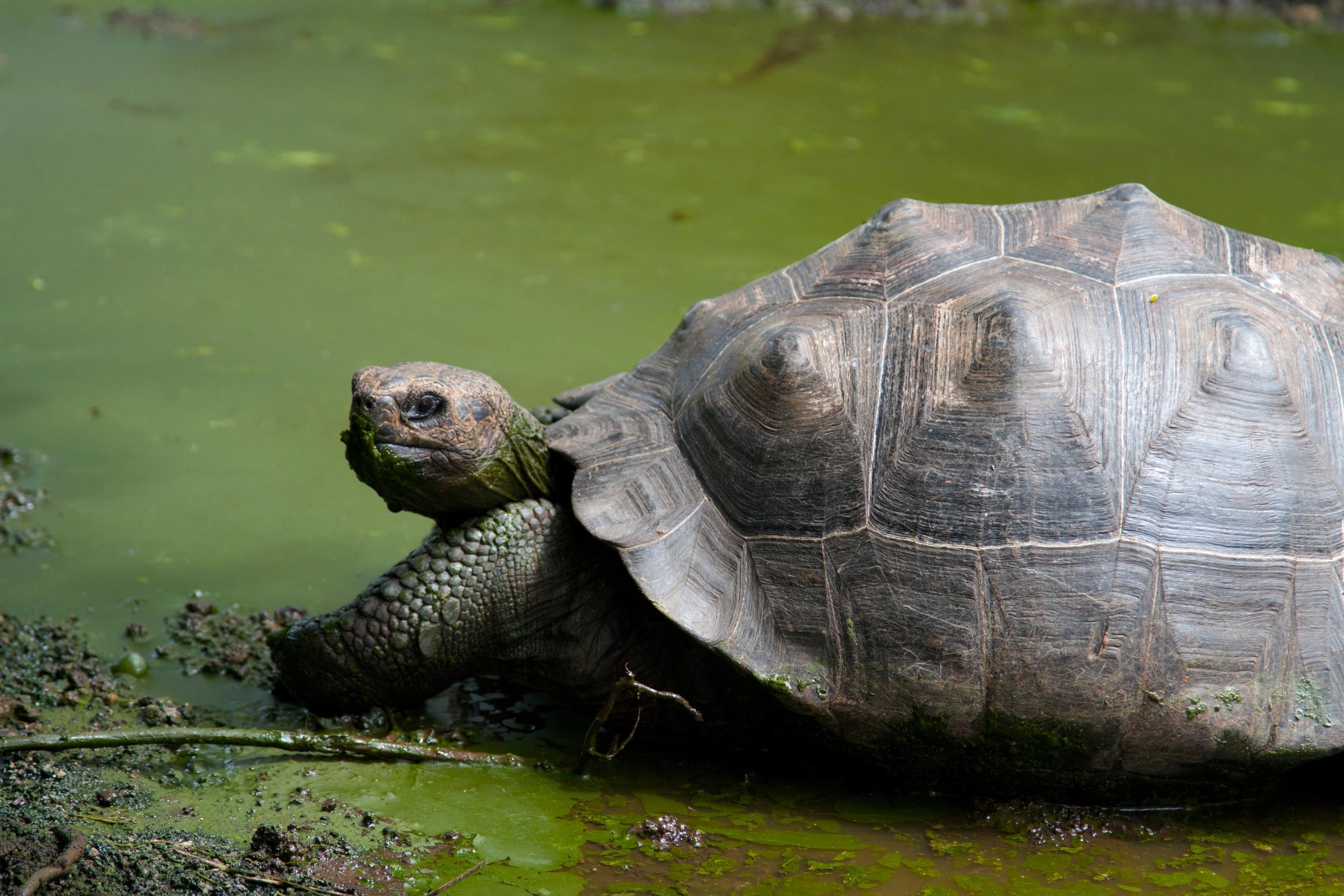 ECUADOR_2014 156.jpg