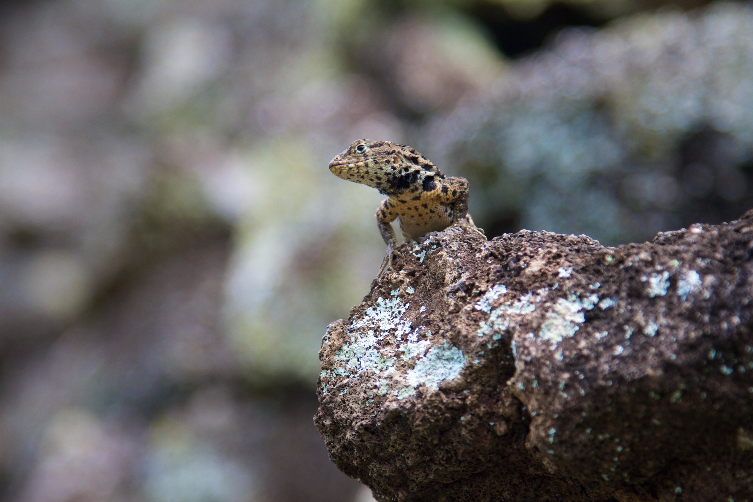 ECUADOR_2014 157.jpg