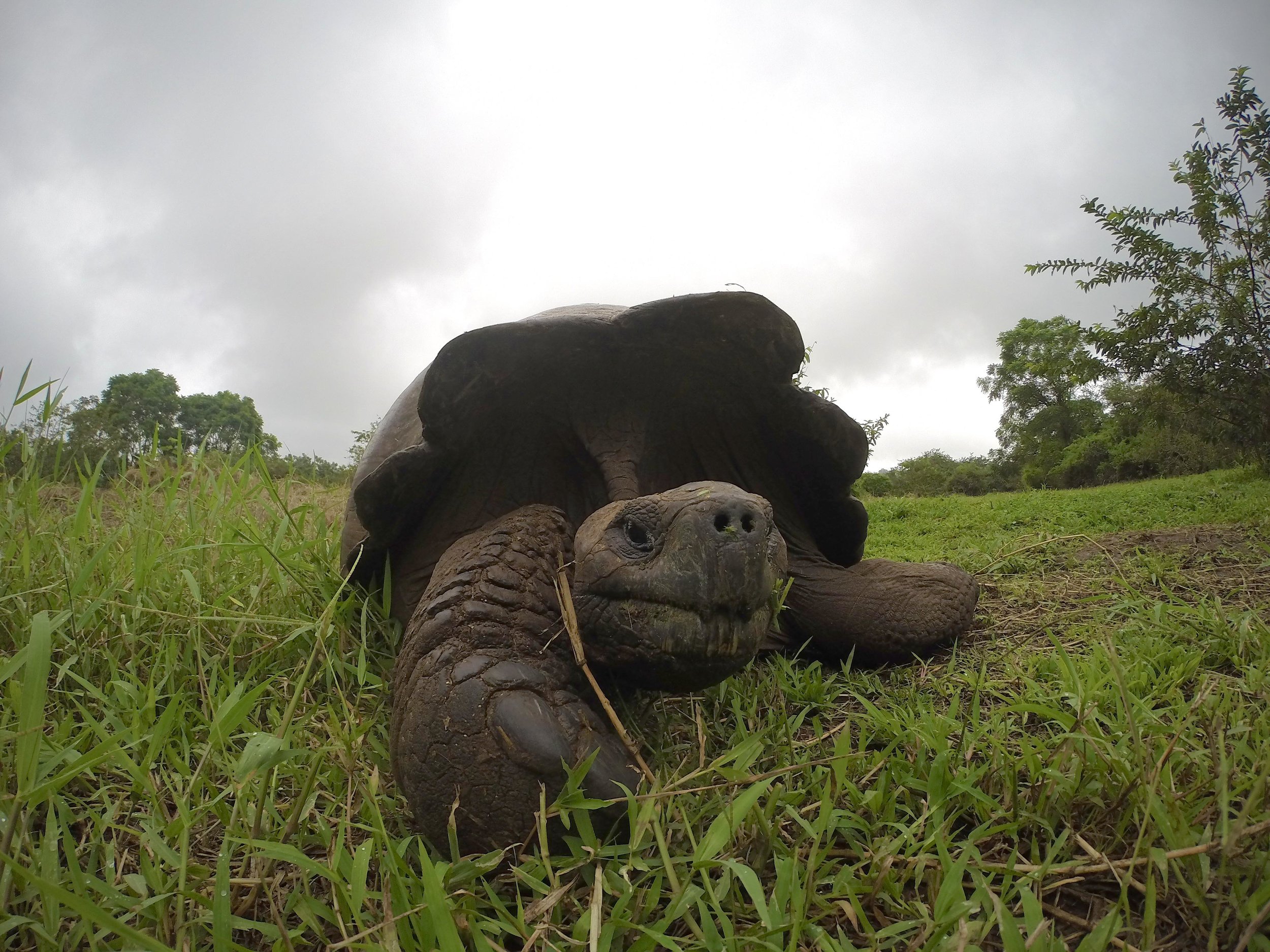 ECUADOR_2014_GP 213.jpg