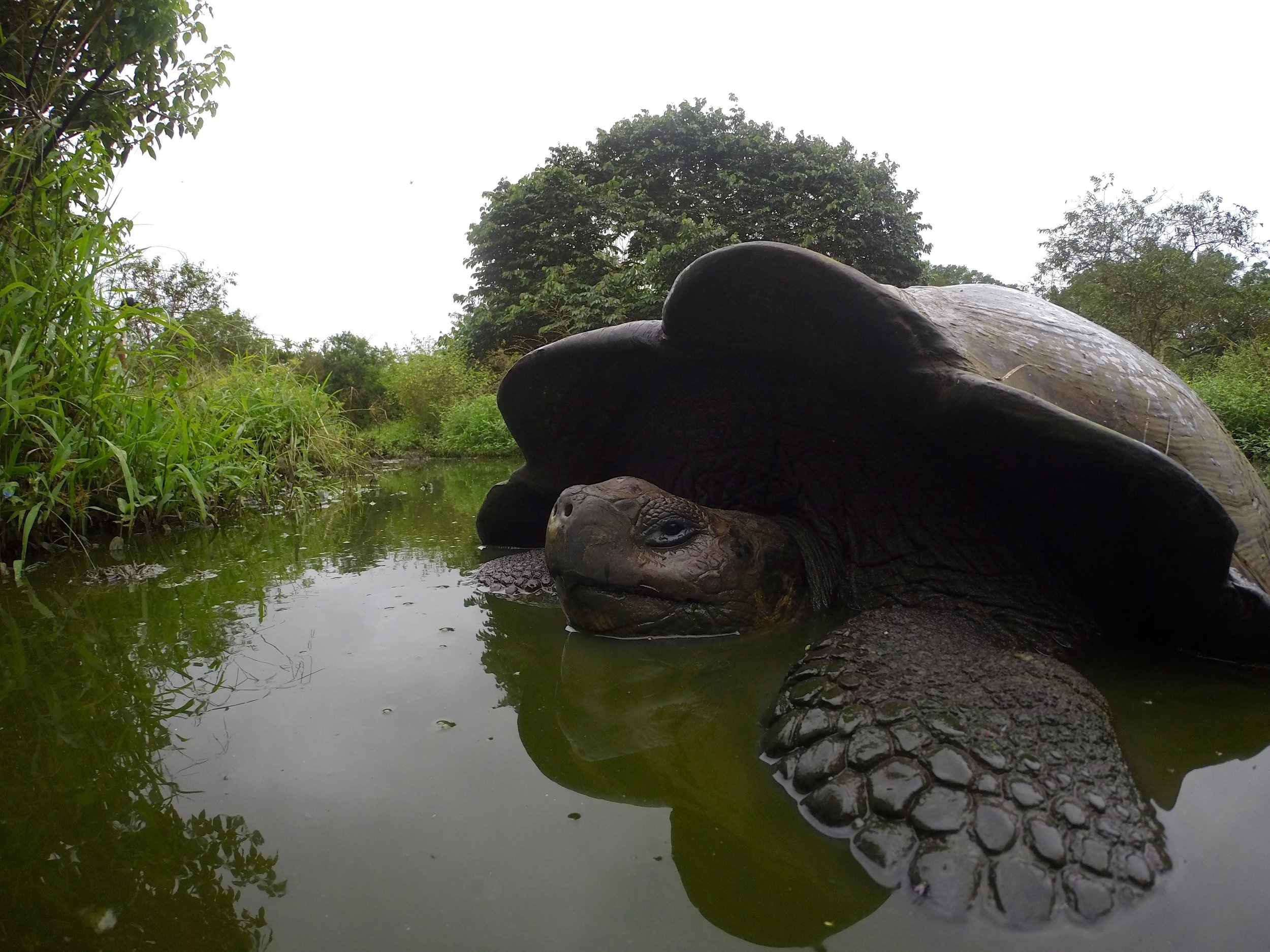 ECUADOR_2014_GP 219.jpg