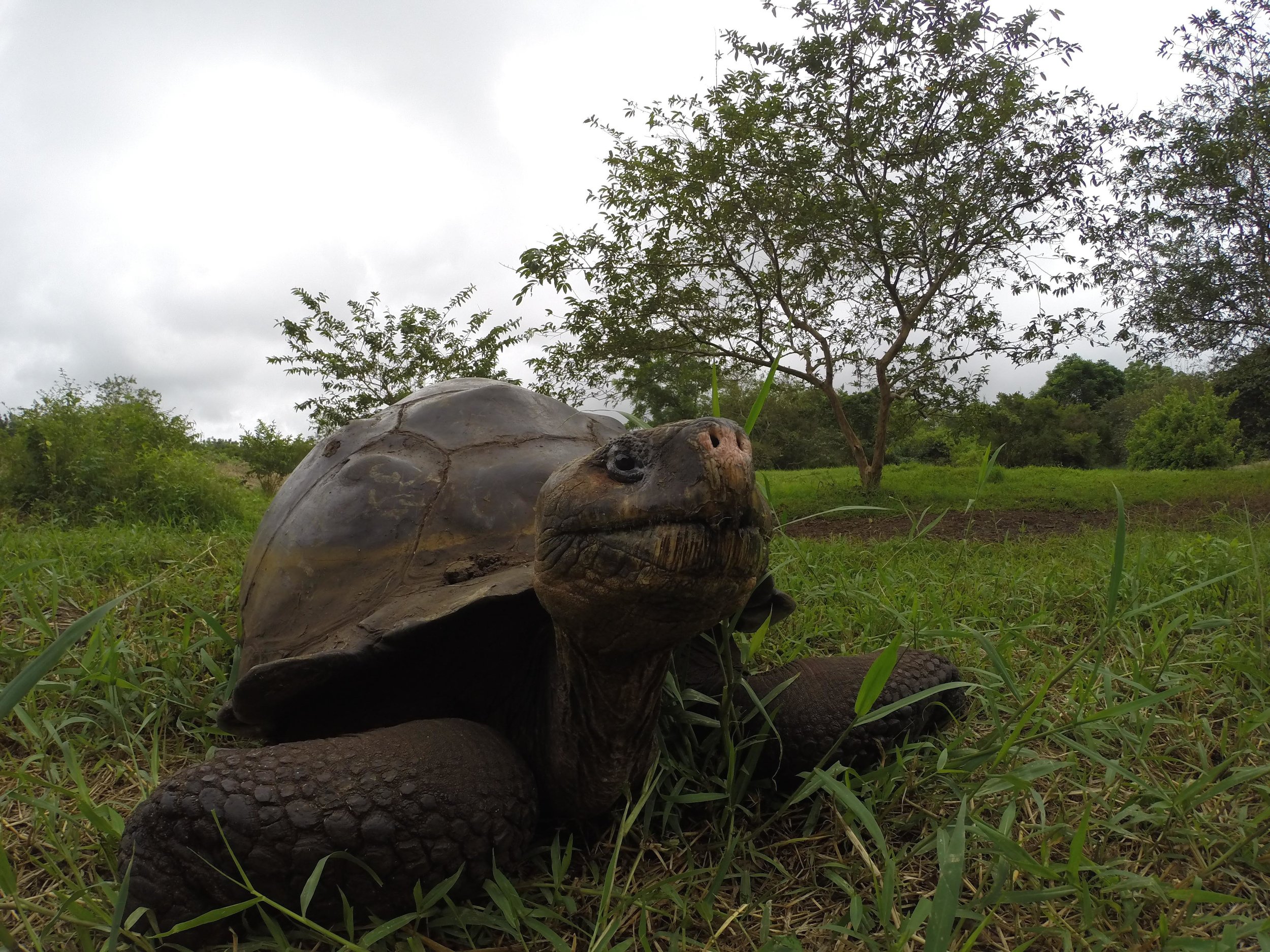 ECUADOR_2014_GP 223.jpg