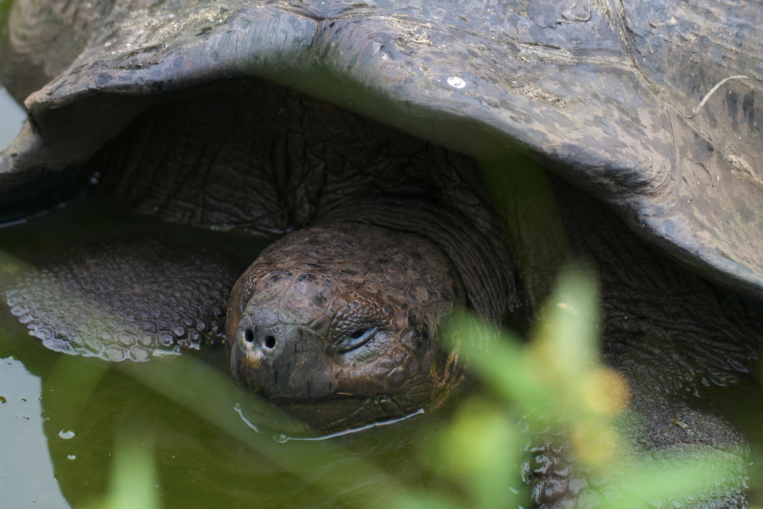 ECUADOR_2014 179.jpg