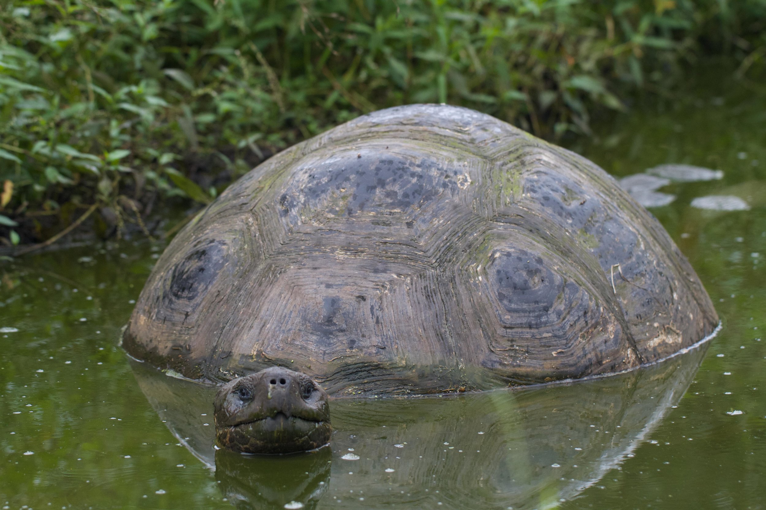 ECUADOR_2014 180.jpg